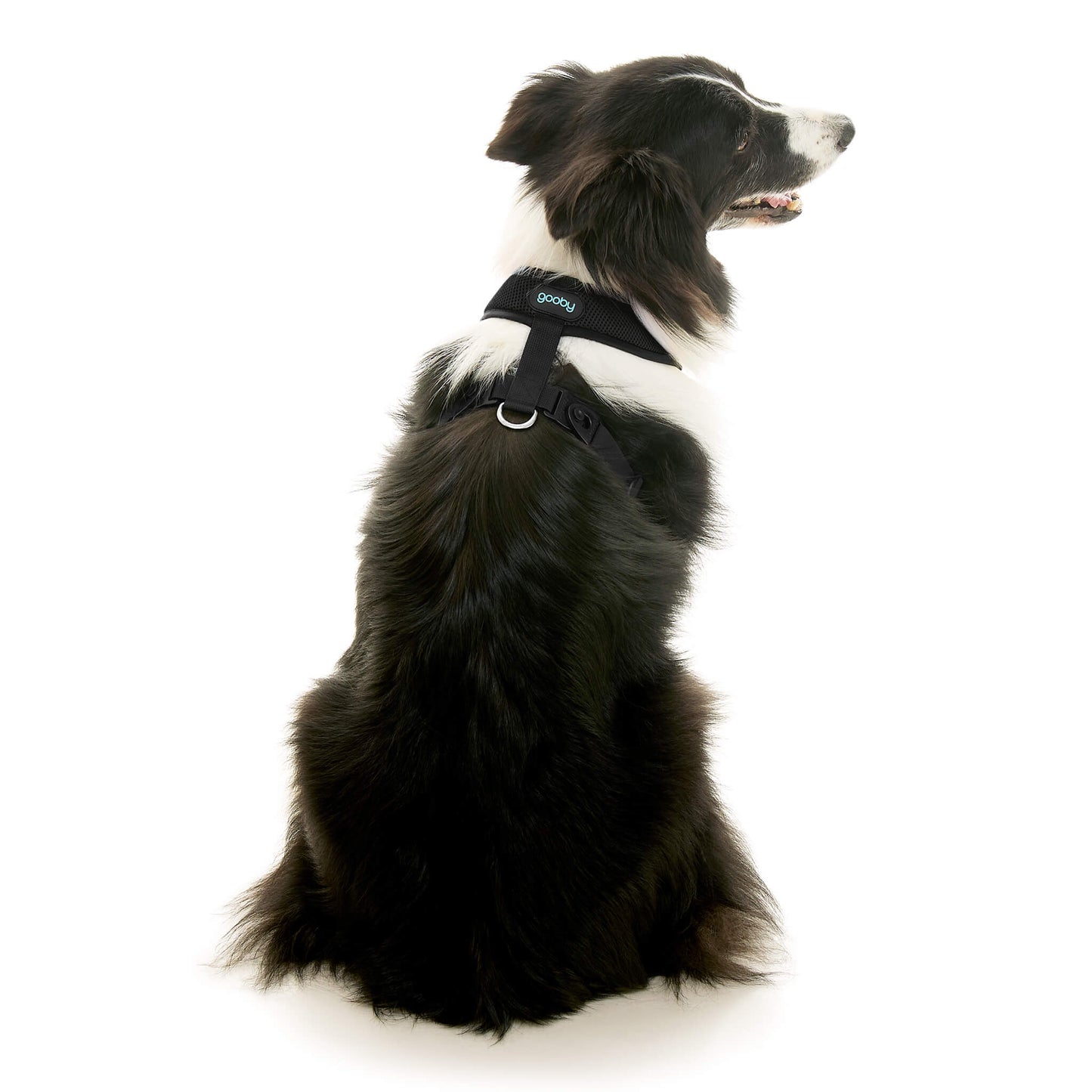 Comfort X Dual Snap Mesh Harness