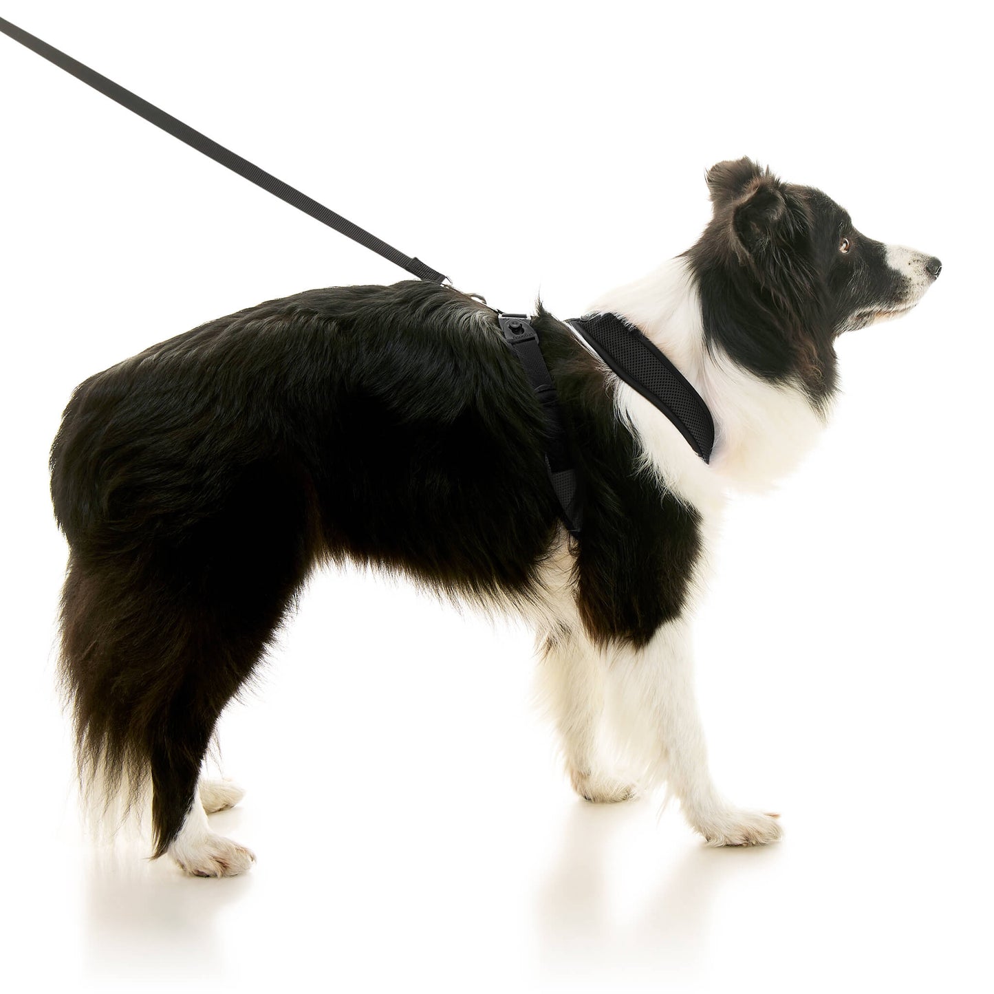 Comfort X Dual Snap Mesh Harness