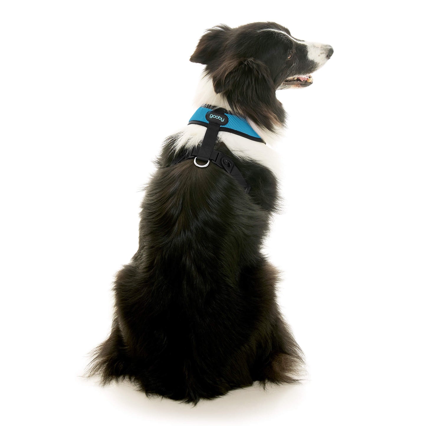 Comfort X Dual Snap Mesh Harness