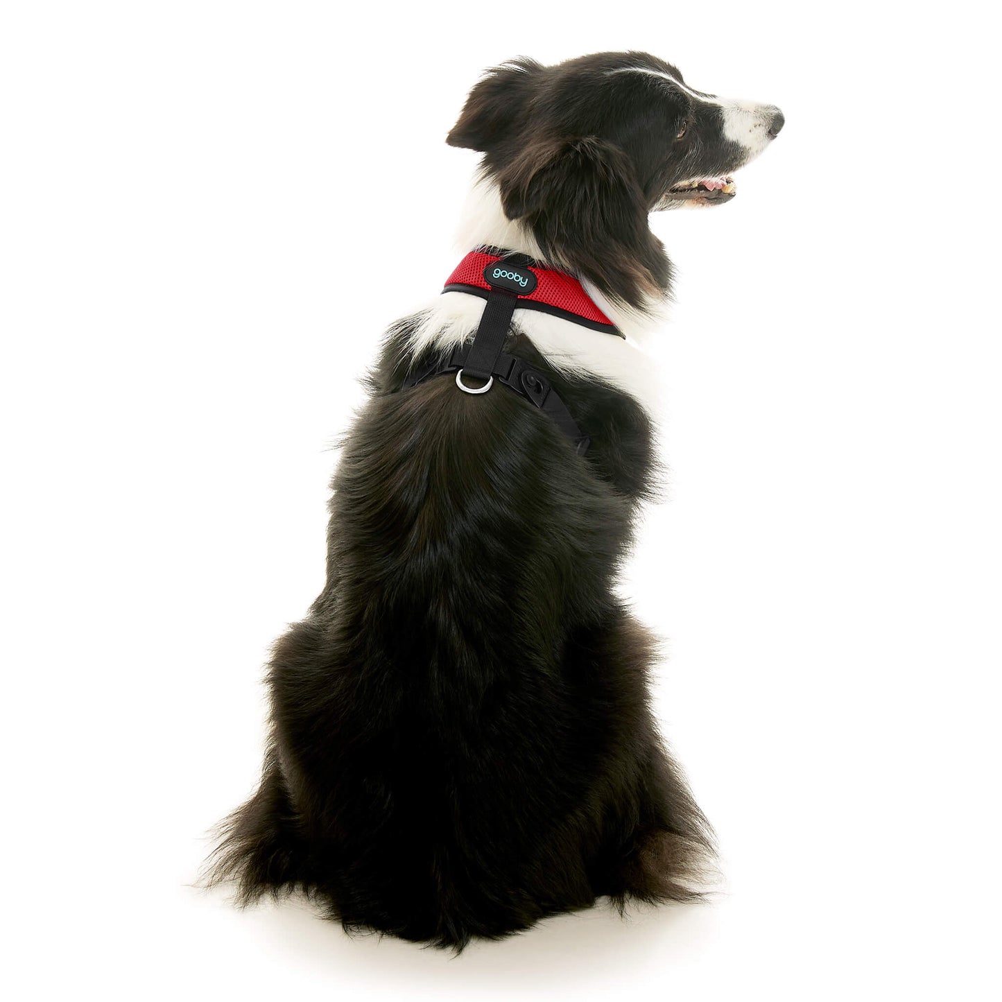 Comfort X Dual Snap Mesh Harness