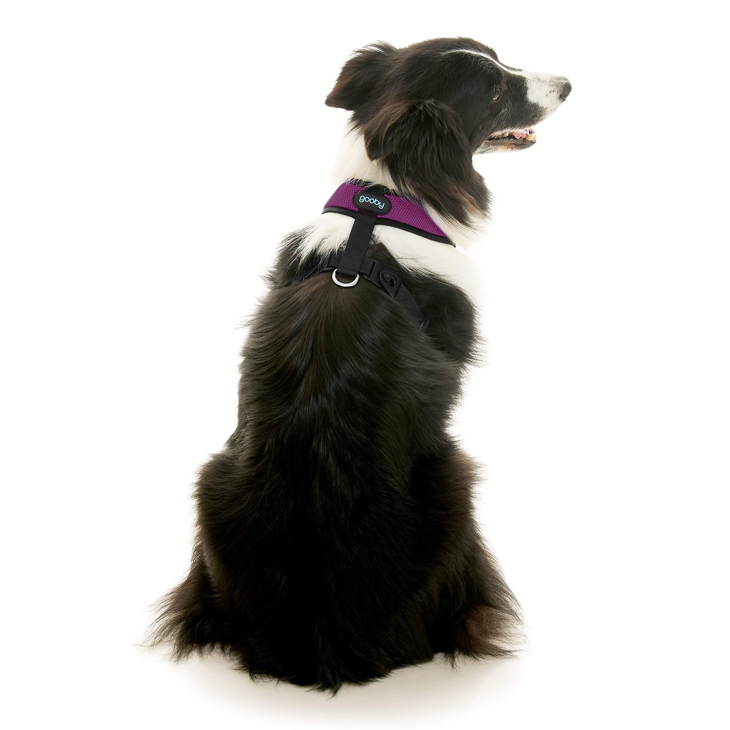 Comfort X Dual Snap Mesh Harness