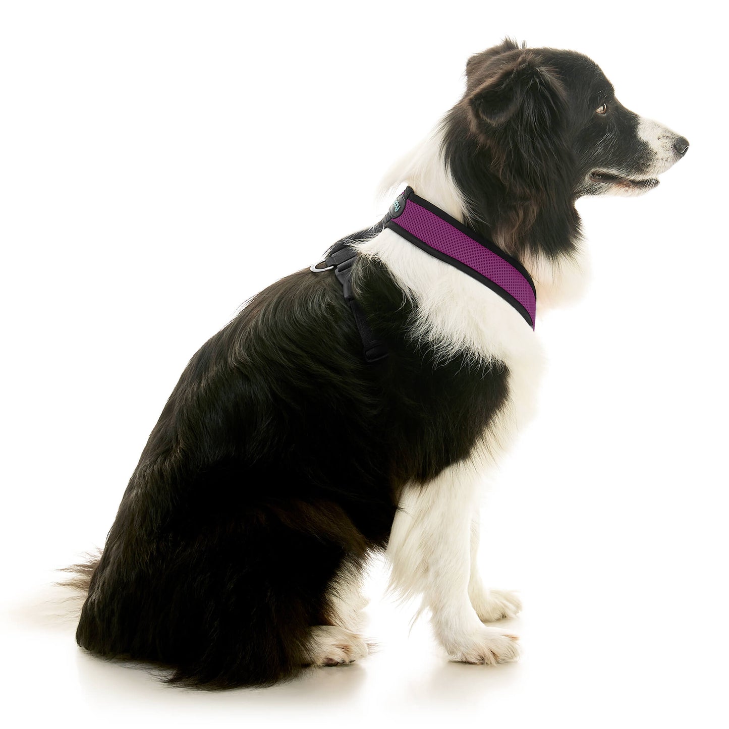 Comfort X Dual Snap Mesh Harness