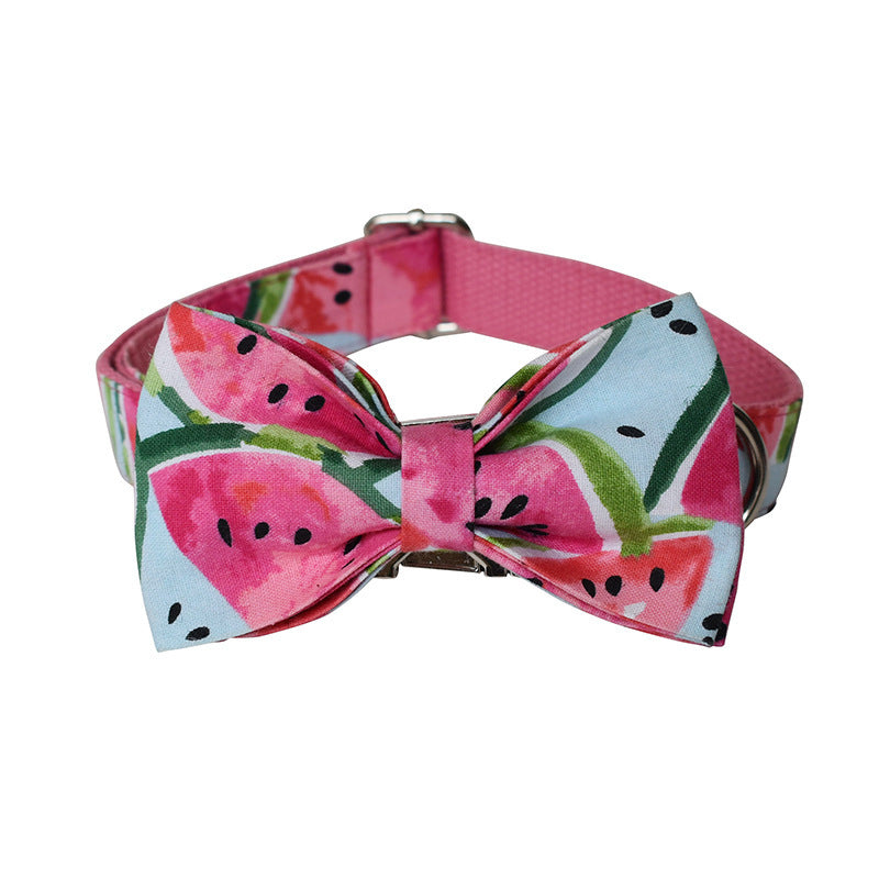 Watermelon Print Collar & Leash Set