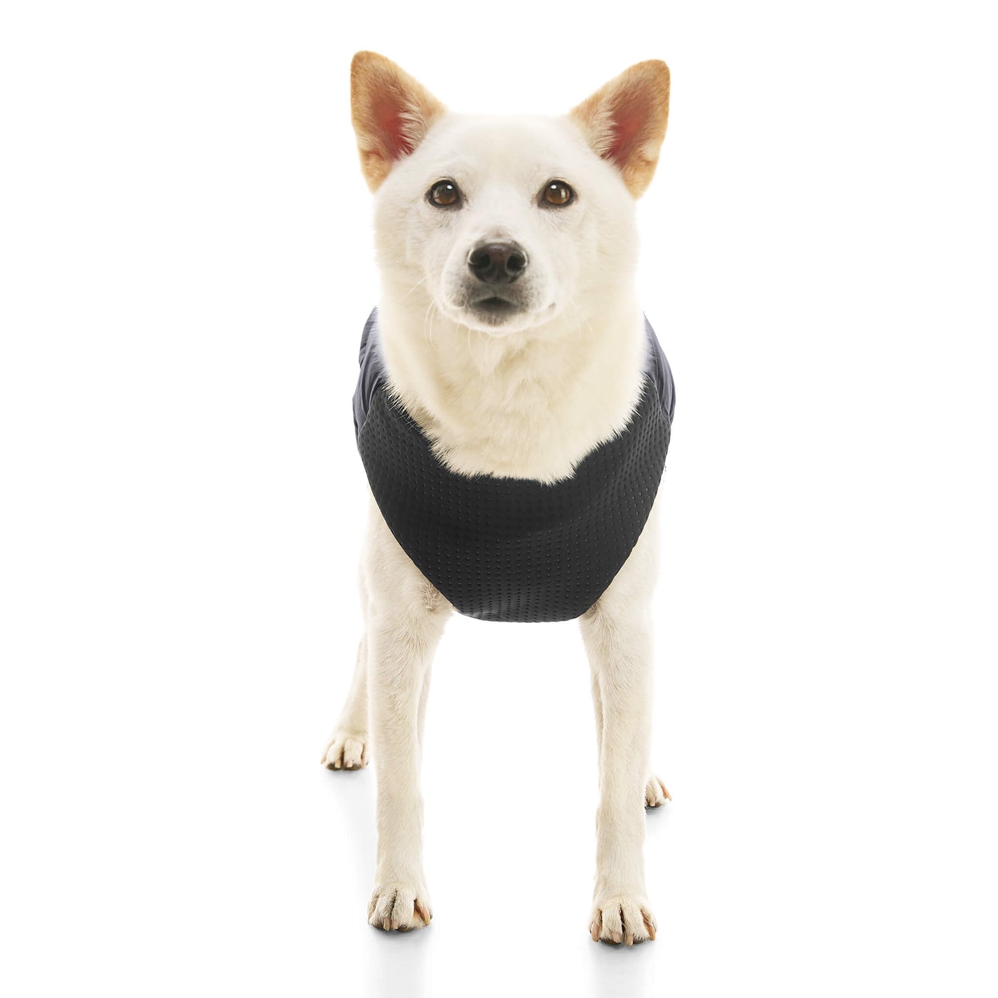 Padded Vest Lift