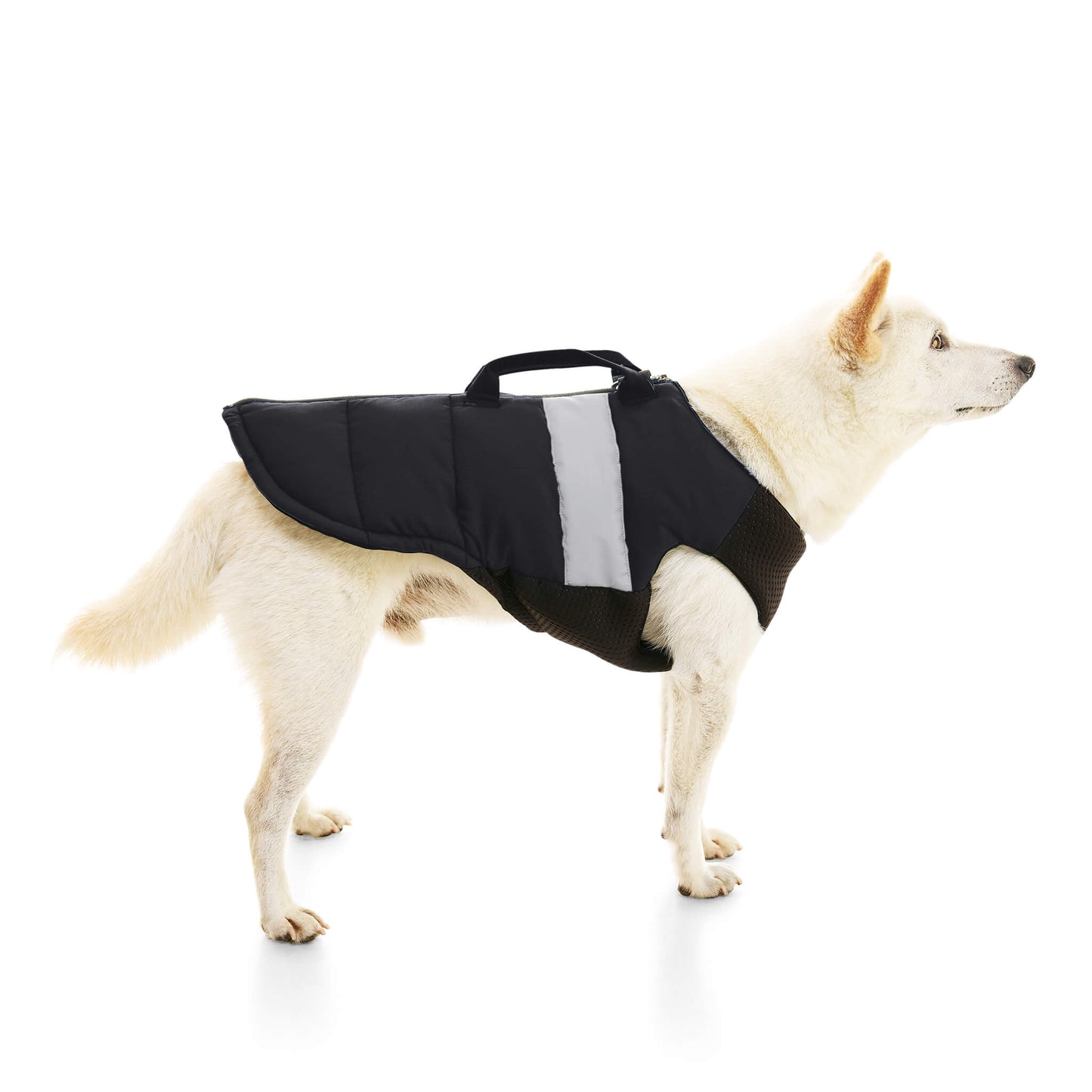 Padded Vest Lift
