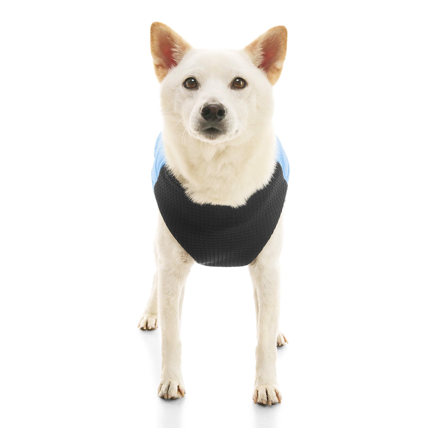 Padded Vest Lift