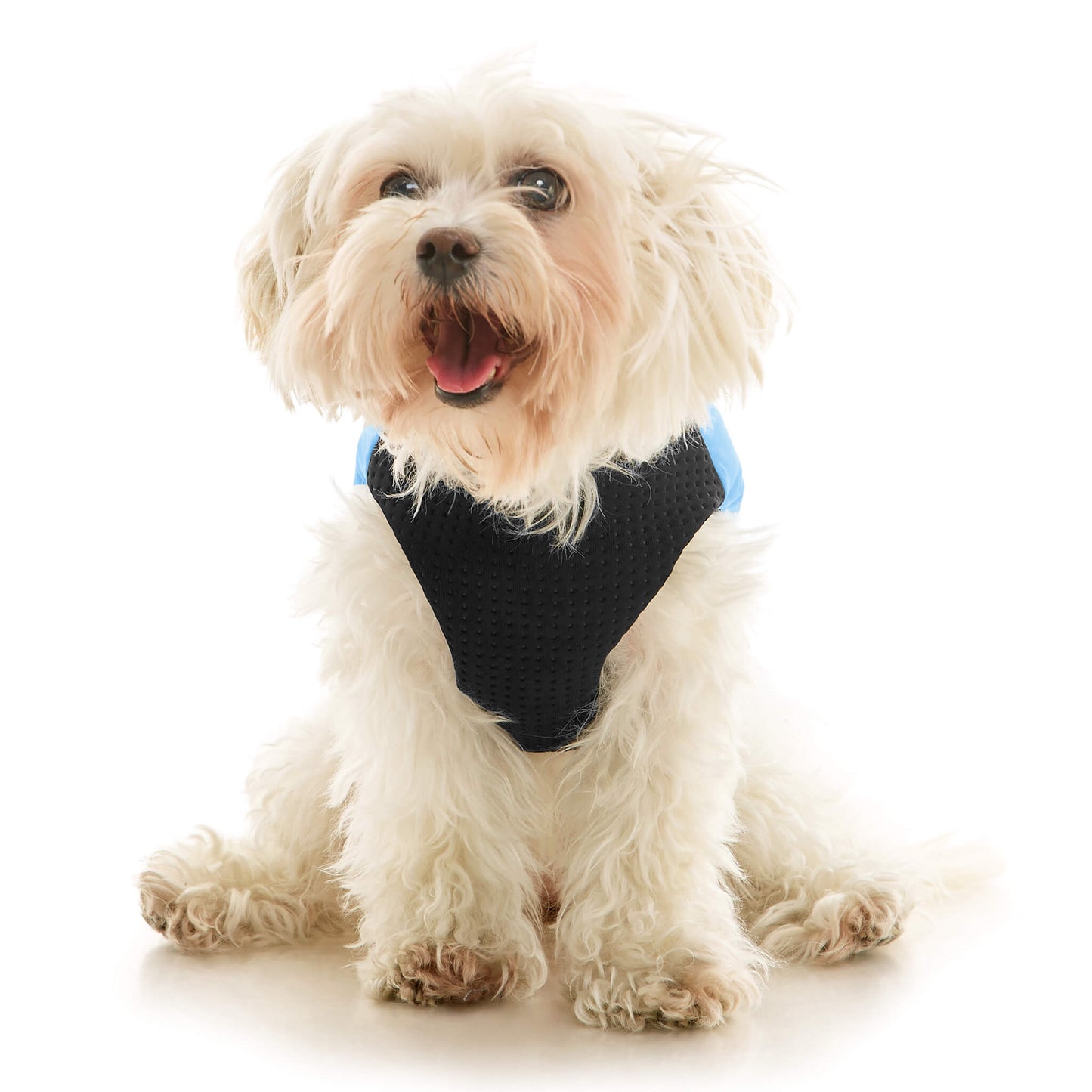 Padded Vest Lift