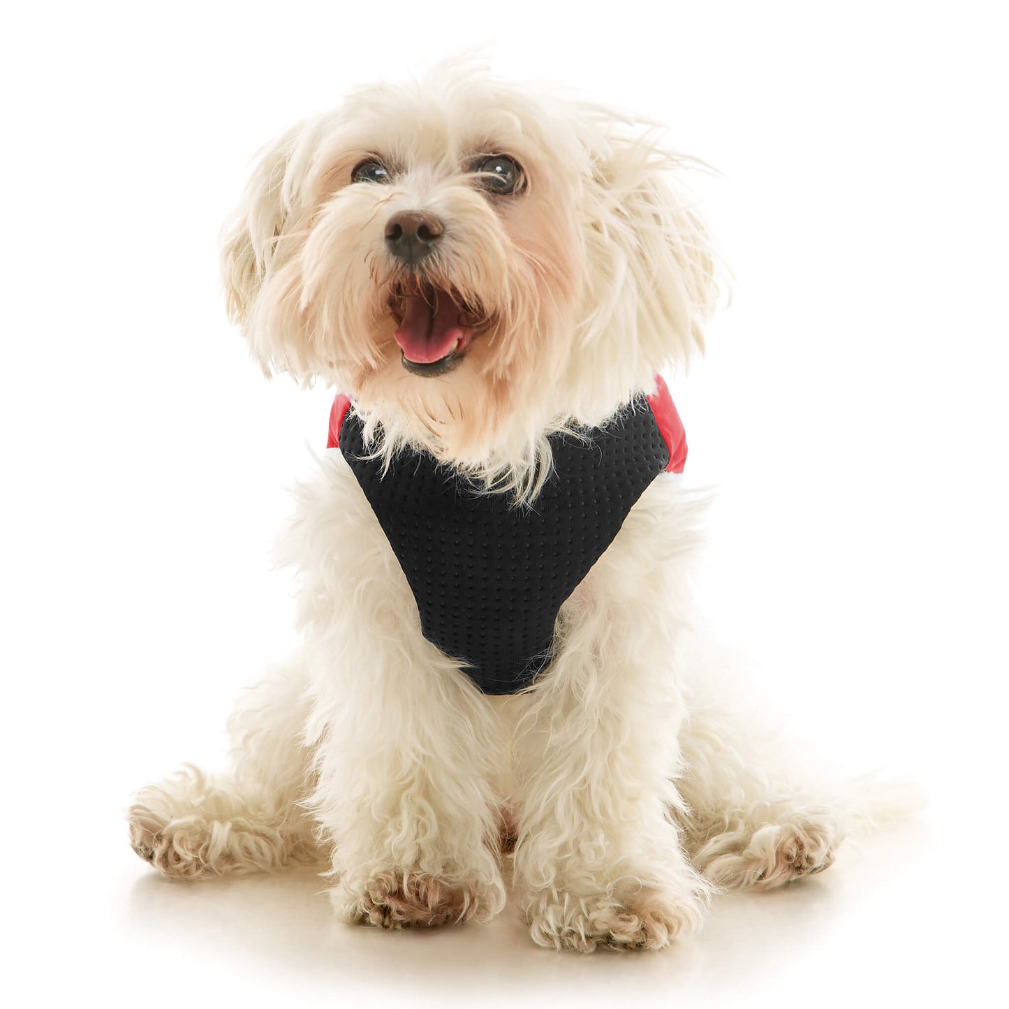Padded Vest Lift