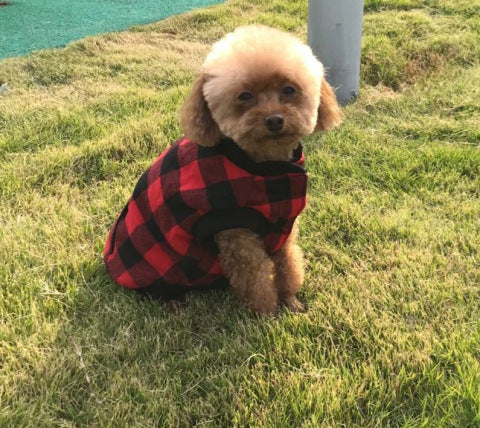 Buffalo Plaid Pet Coat
