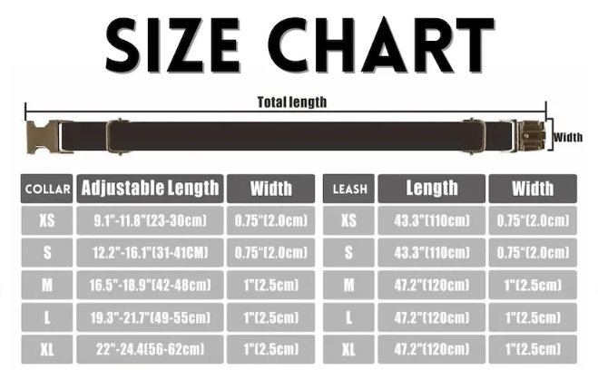 Ocean Wave Pattern Dog Collar and Leash Set, Blue and White - Pet Pride Tees