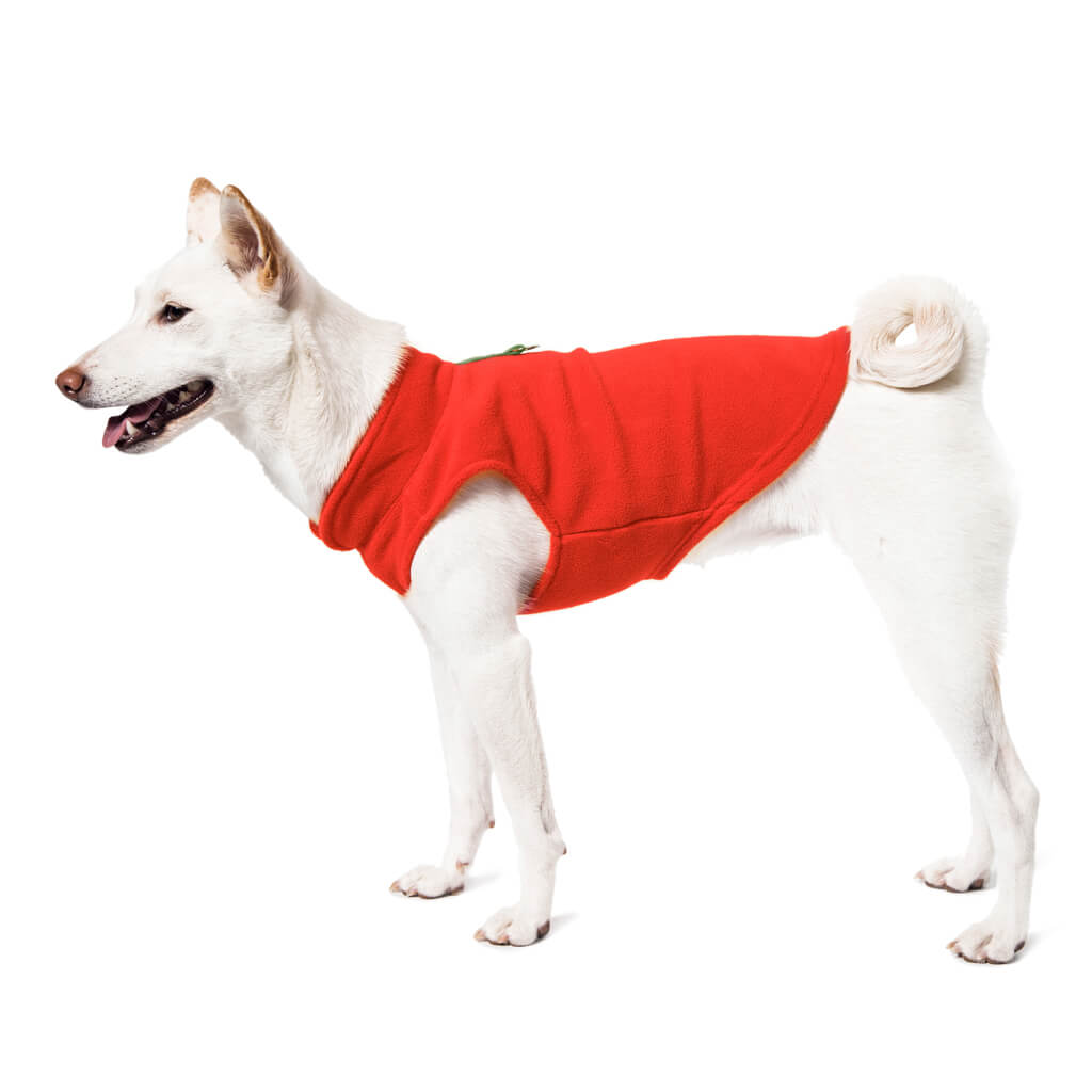 Fleece Vest
