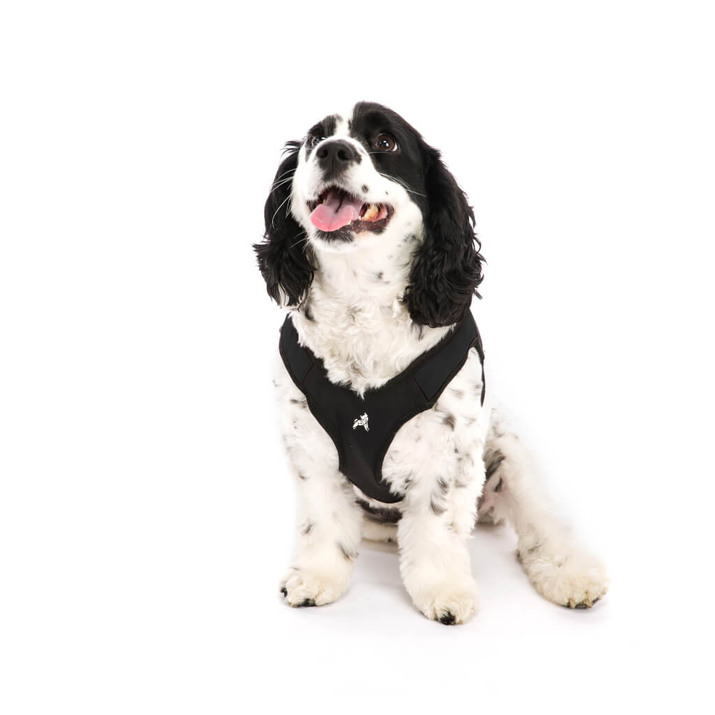 Escape Free® Easy Fit Harness