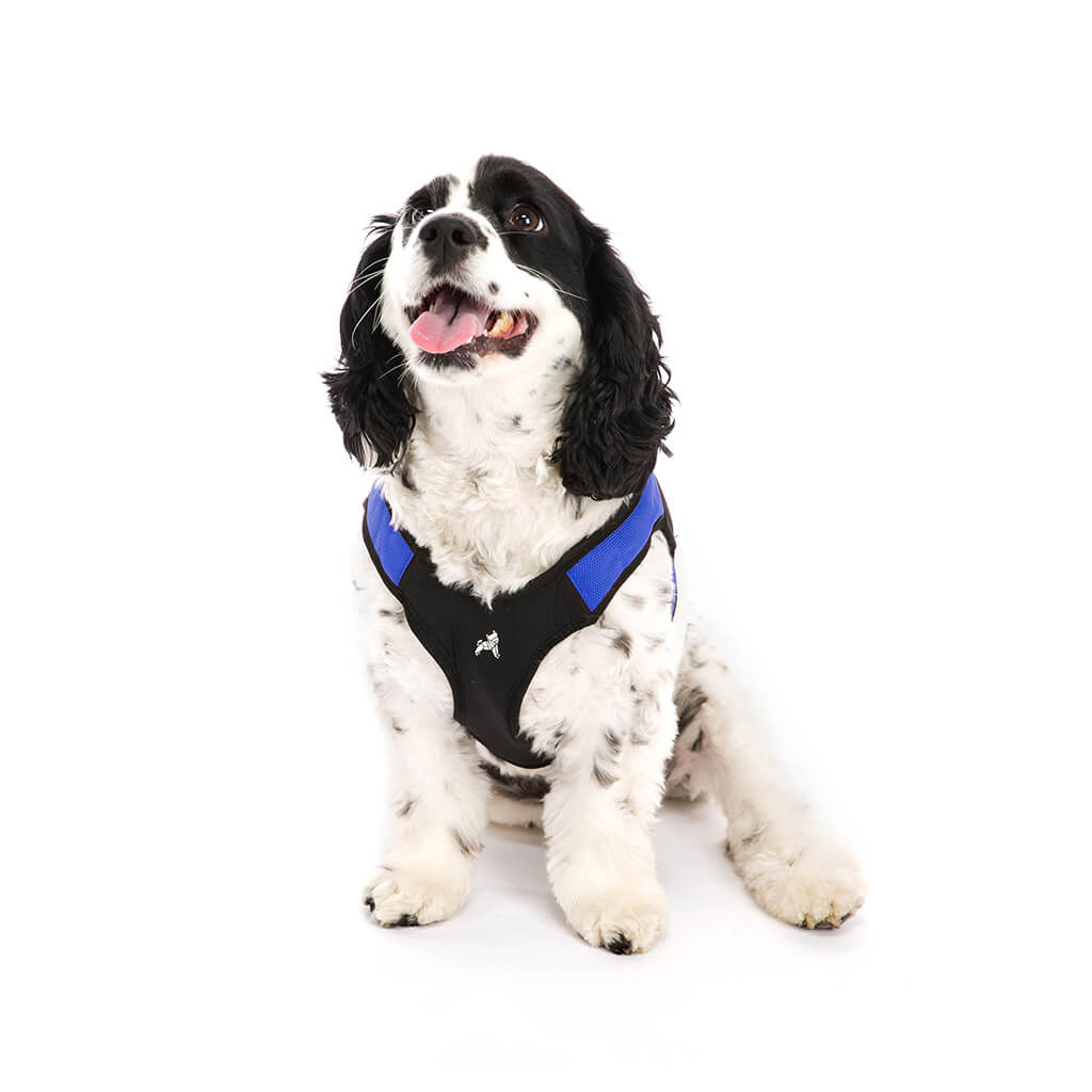 Escape Free® Easy Fit Harness