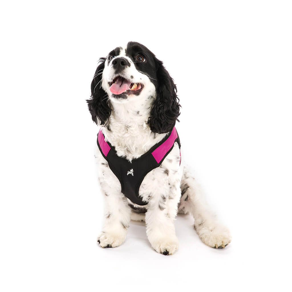 Escape Free® Easy Fit Harness