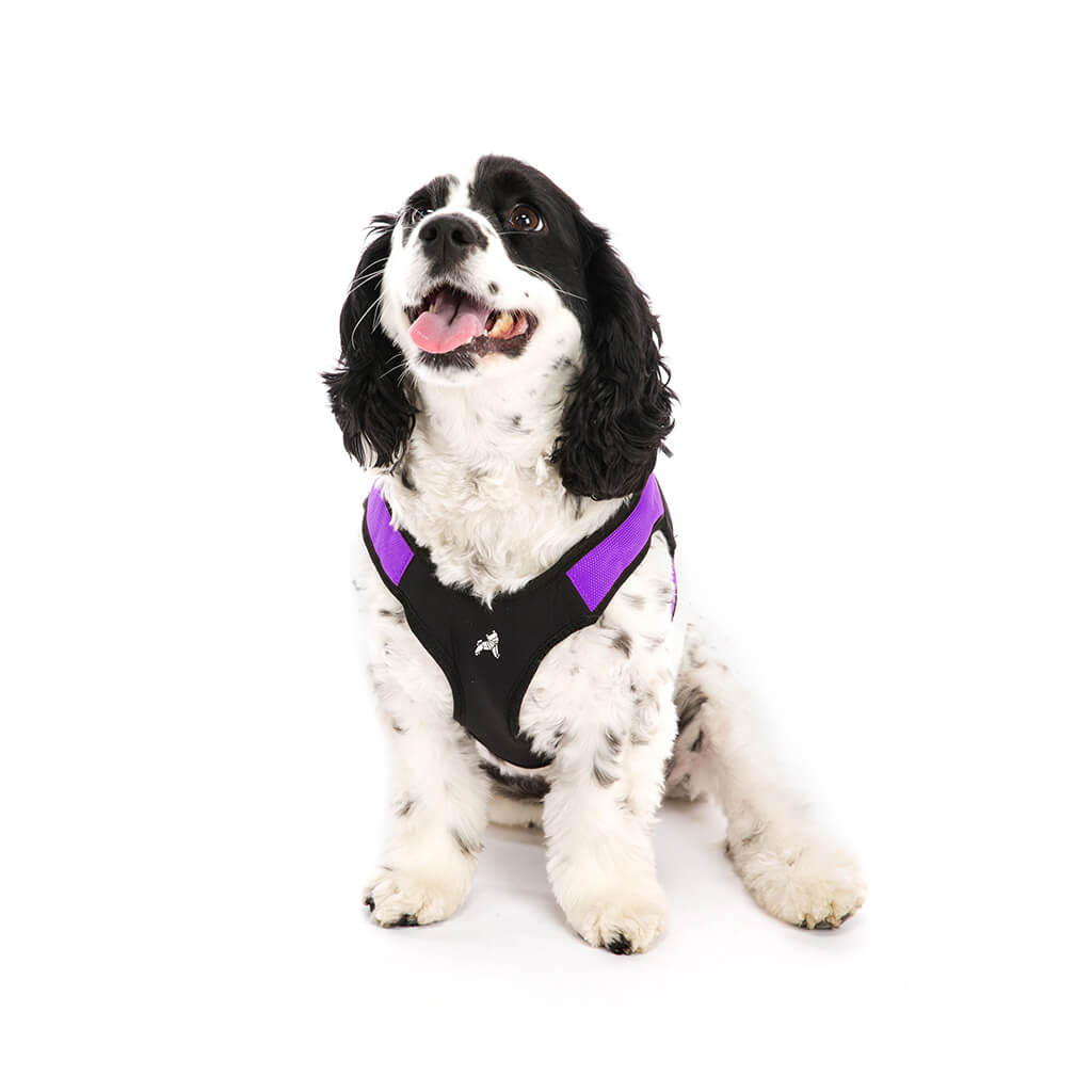 Escape Free® Easy Fit Harness