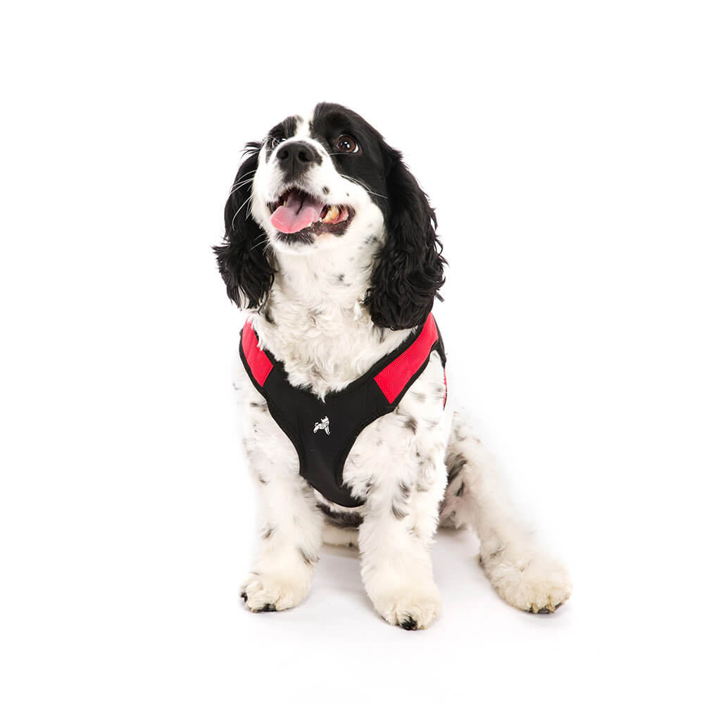 Escape Free® Easy Fit Harness