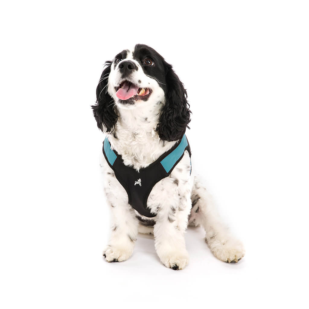 Escape Free® Easy Fit Harness