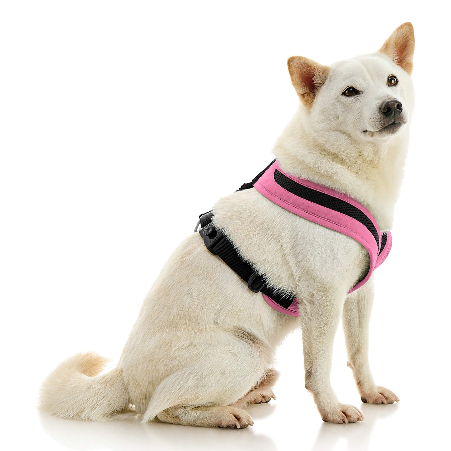 Escape Free Comfort X One Harness