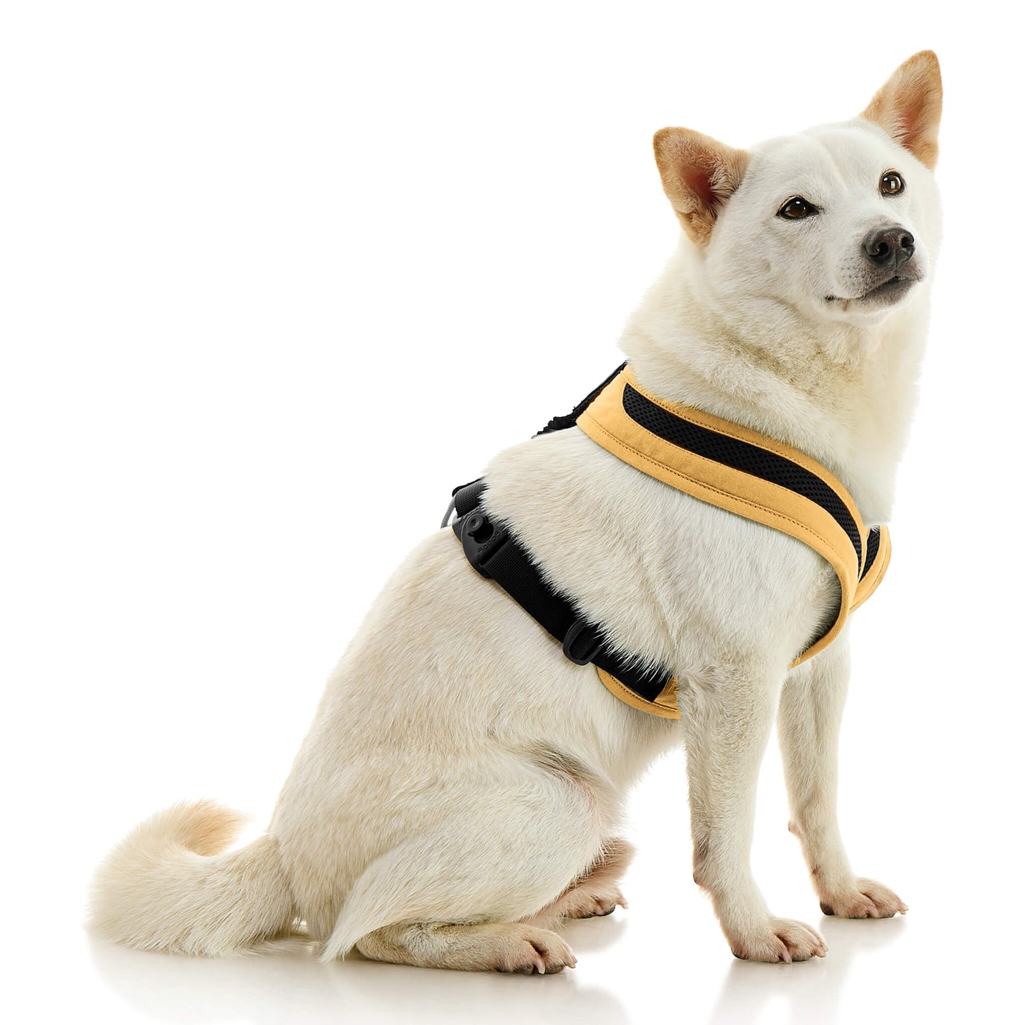 Escape Free Comfort X One Harness