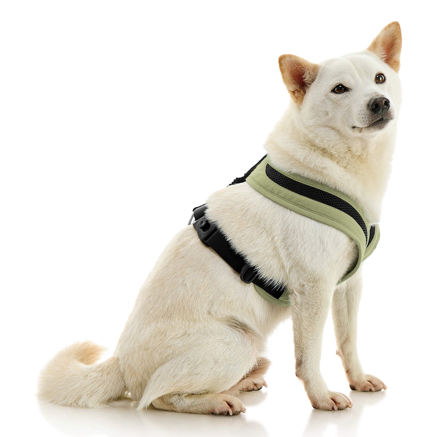 Escape Free Comfort X One Harness