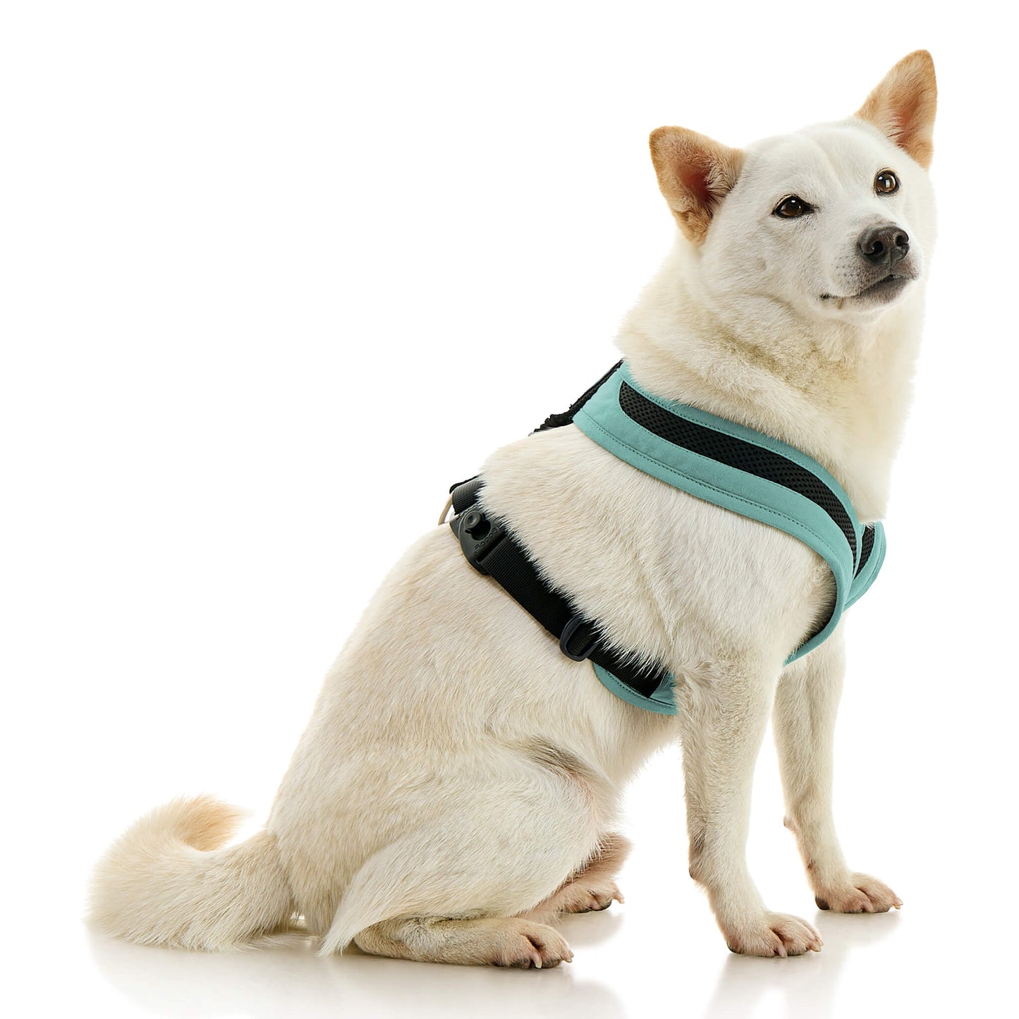 Escape Free Comfort X One Harness