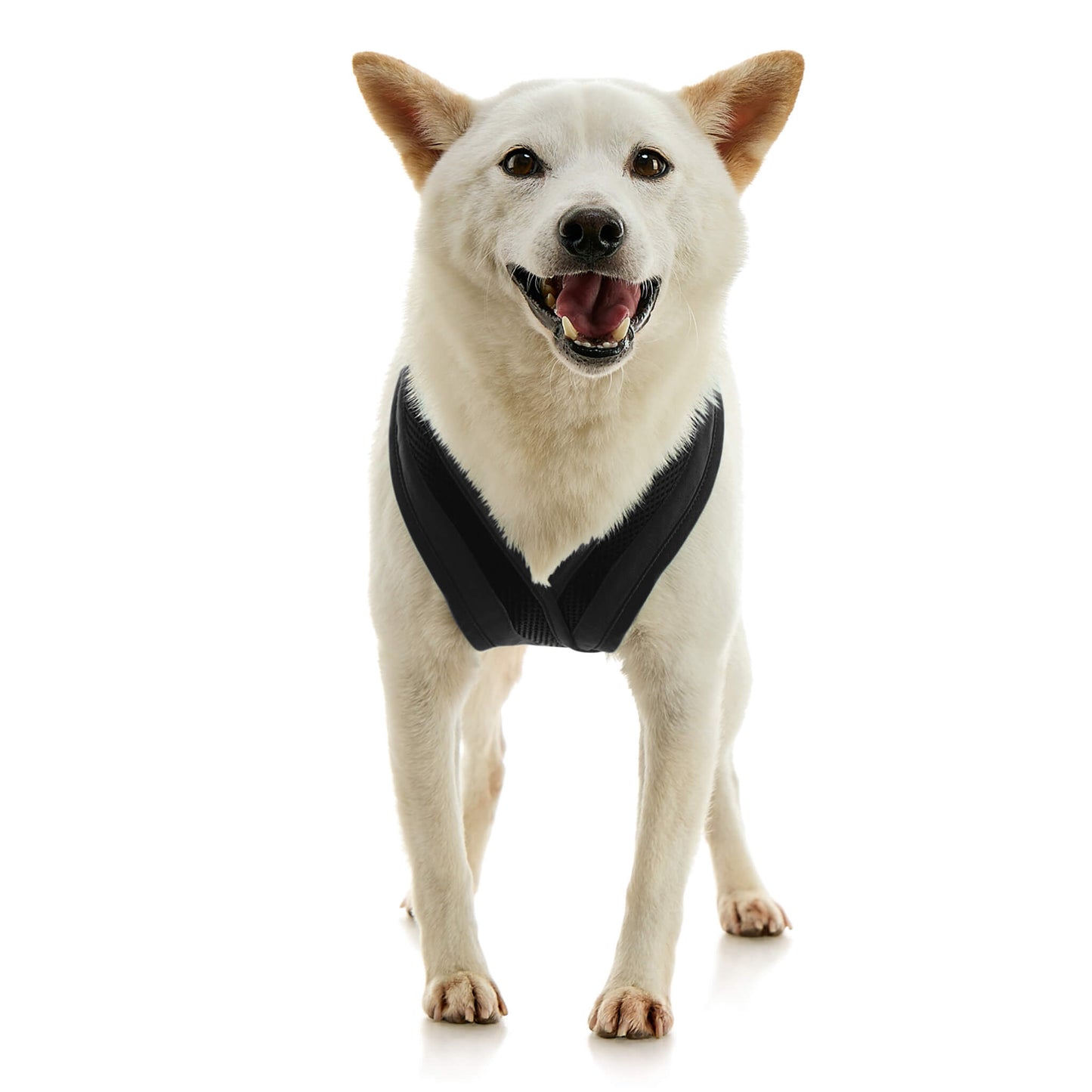 Escape Free Comfort X One Harness