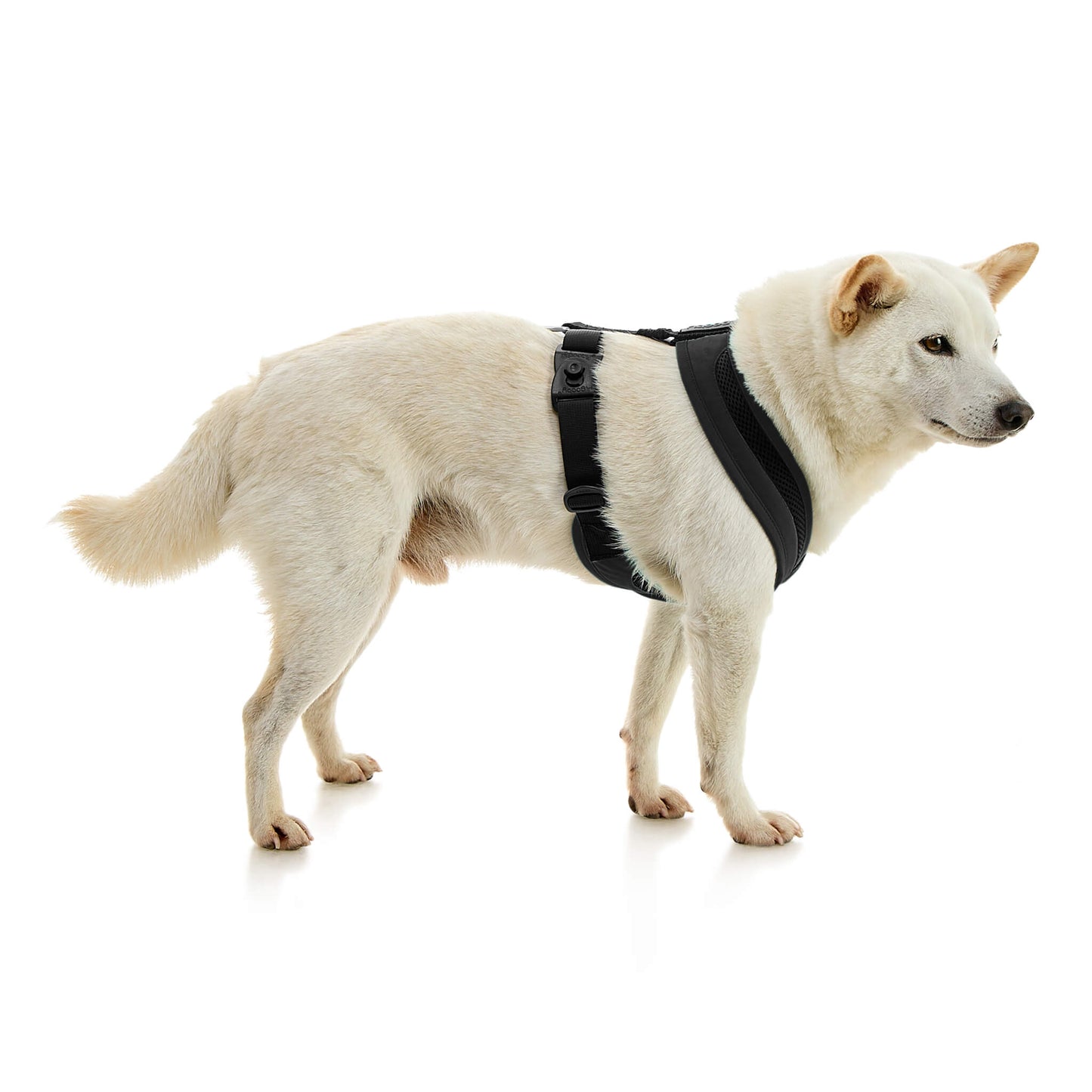 Escape Free Comfort X One Harness