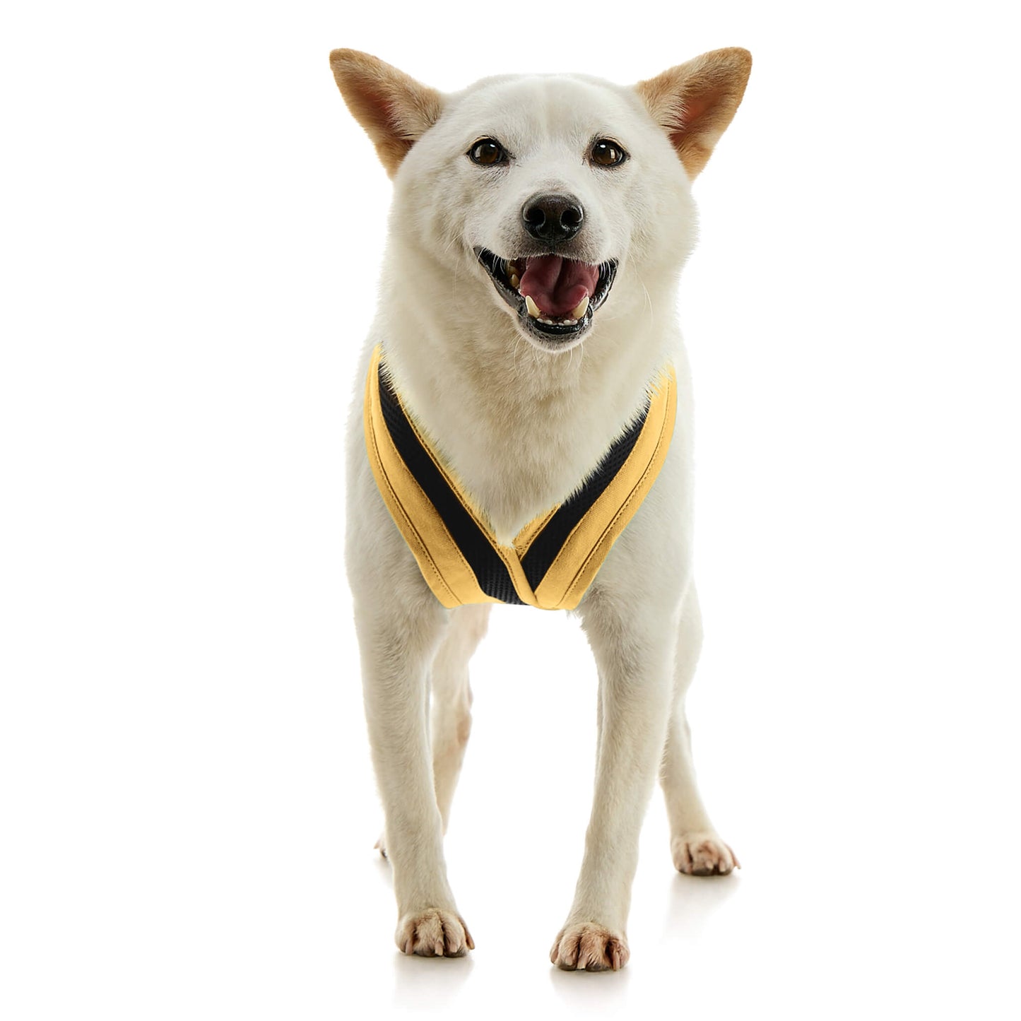 Escape Free Comfort X One Harness