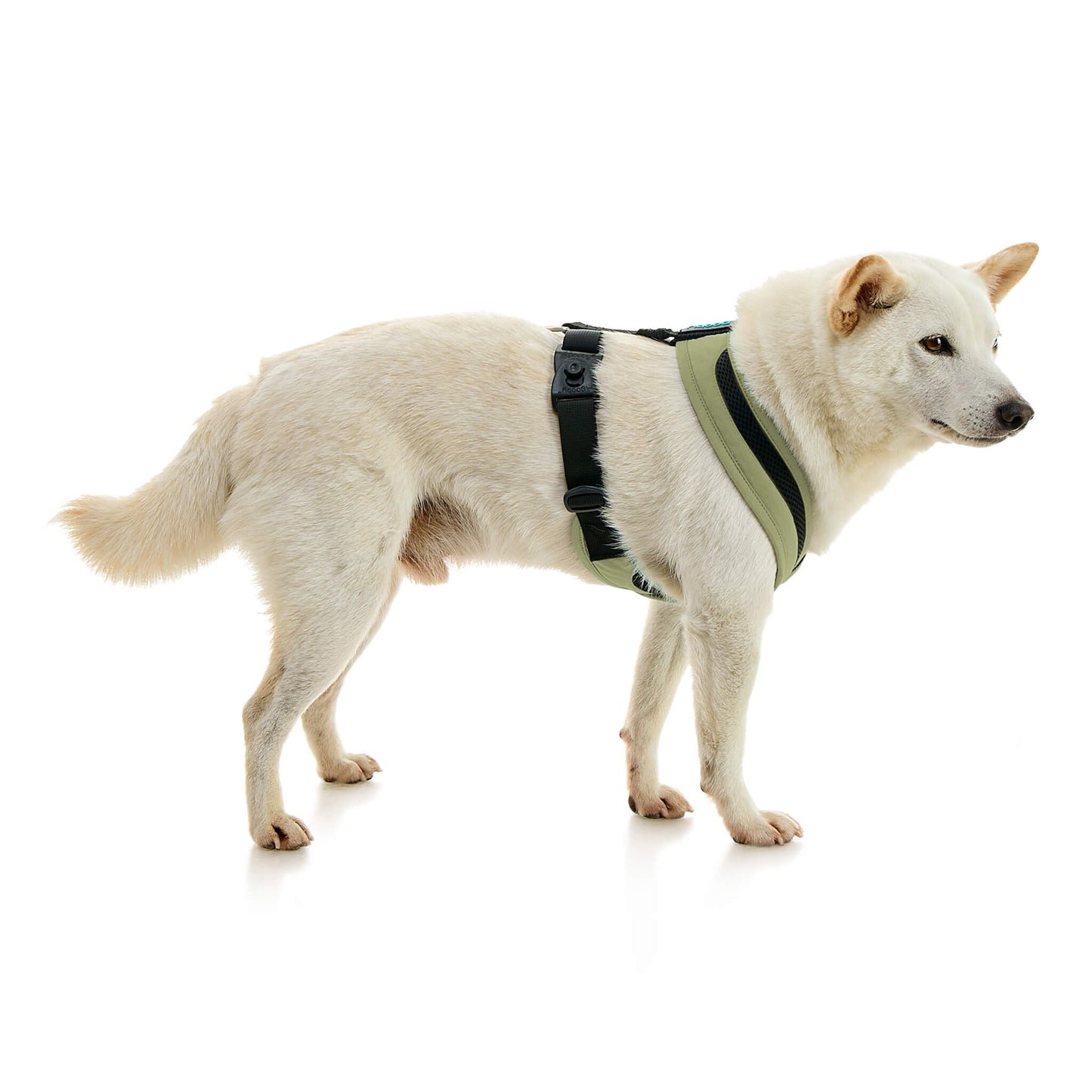 Escape Free Comfort X One Harness