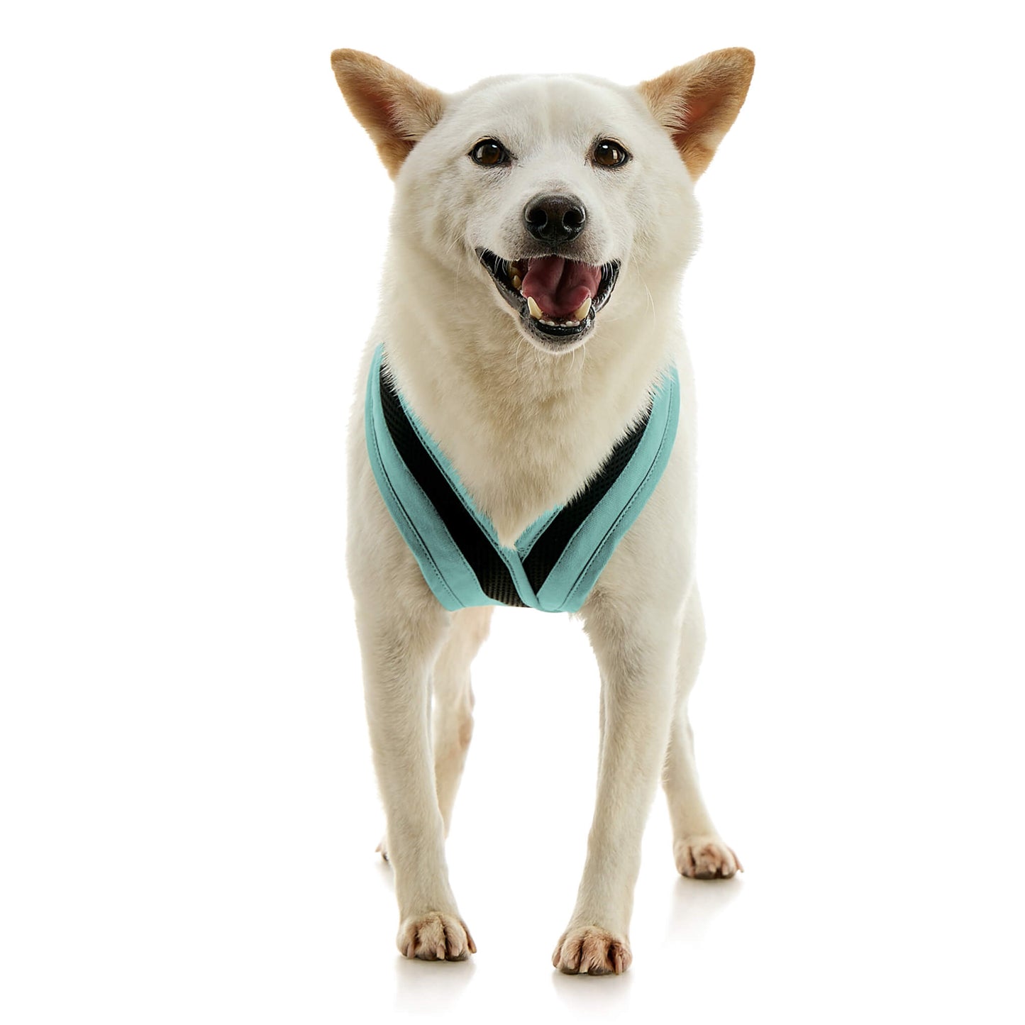 Escape Free Comfort X One Harness