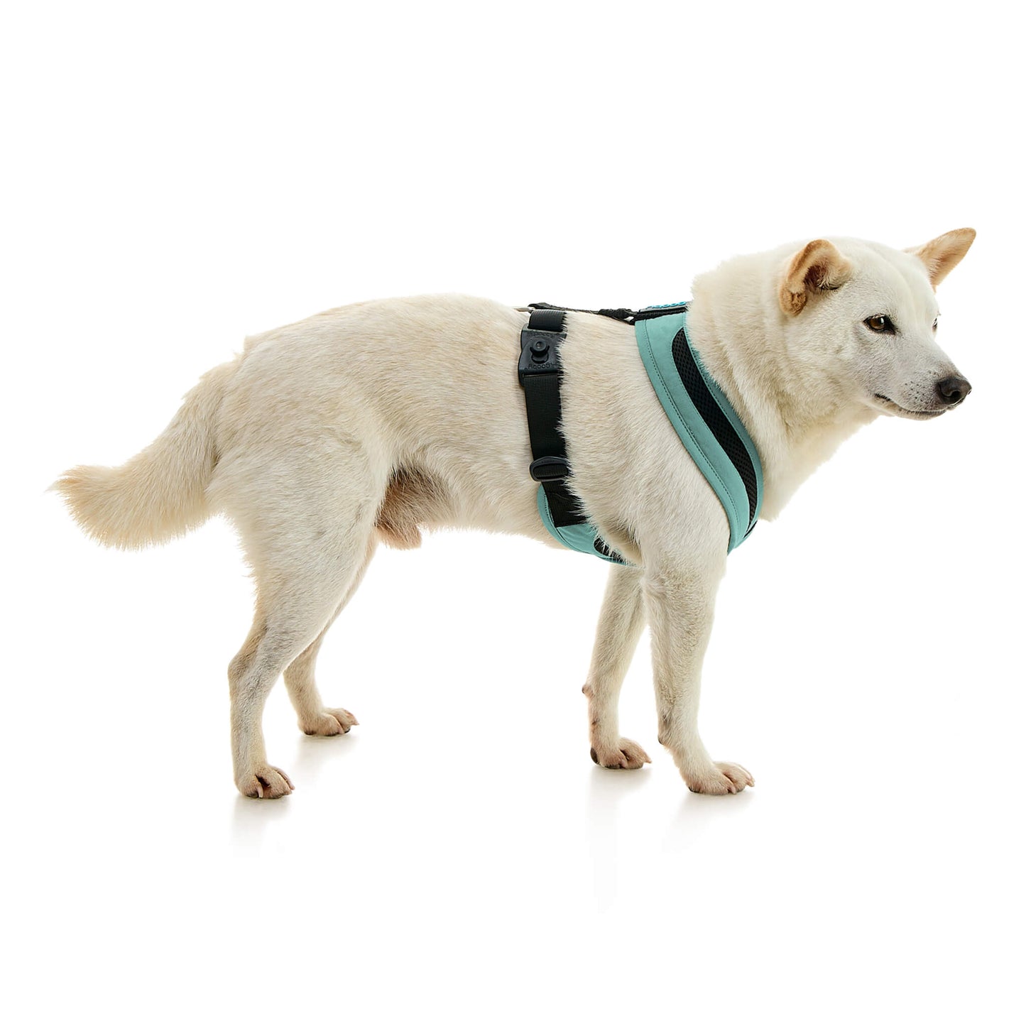 Escape Free Comfort X One Harness