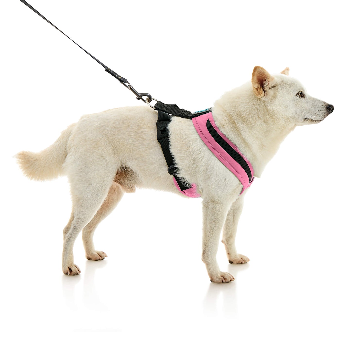 Escape Free Comfort X One Harness