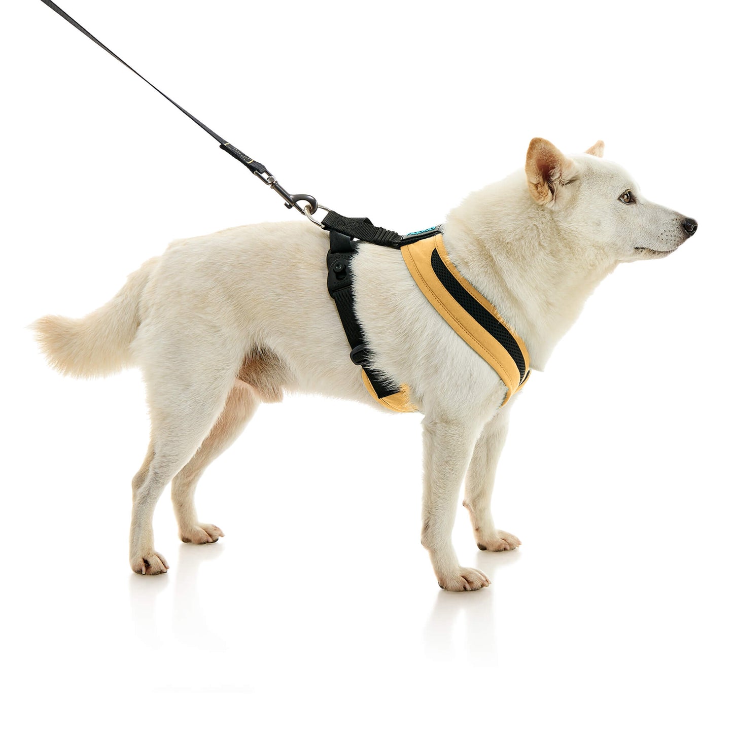 Escape Free Comfort X One Harness