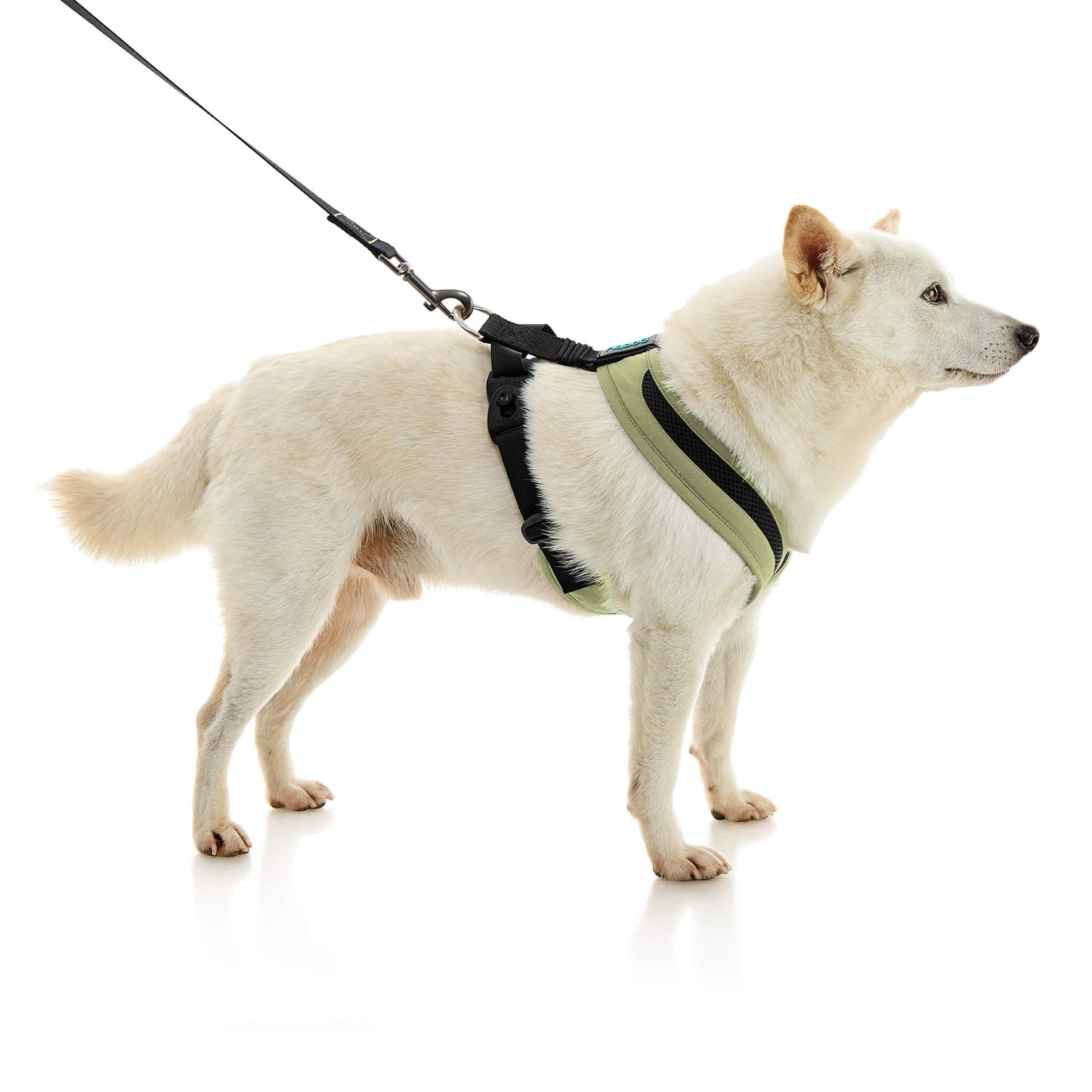 Escape Free Comfort X One Harness