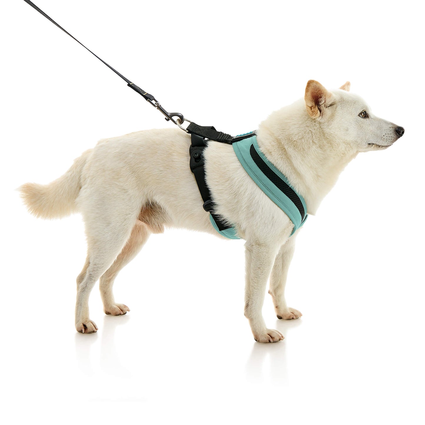 Escape Free Comfort X One Harness