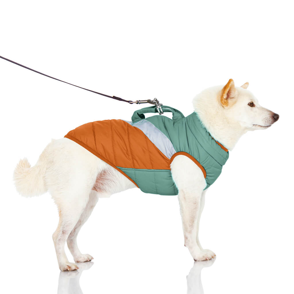 Mountaineer Jacket