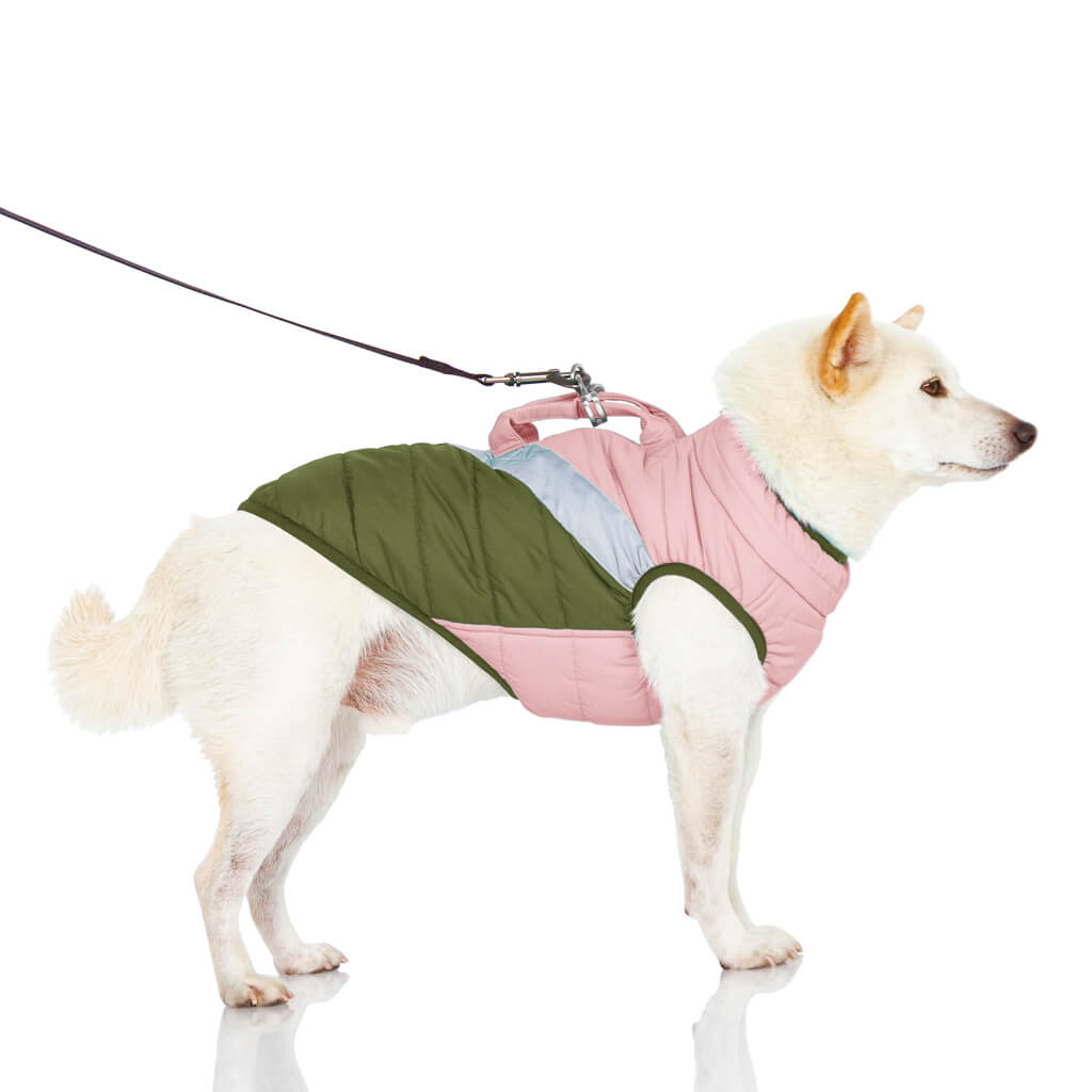 Mountaineer Jacket