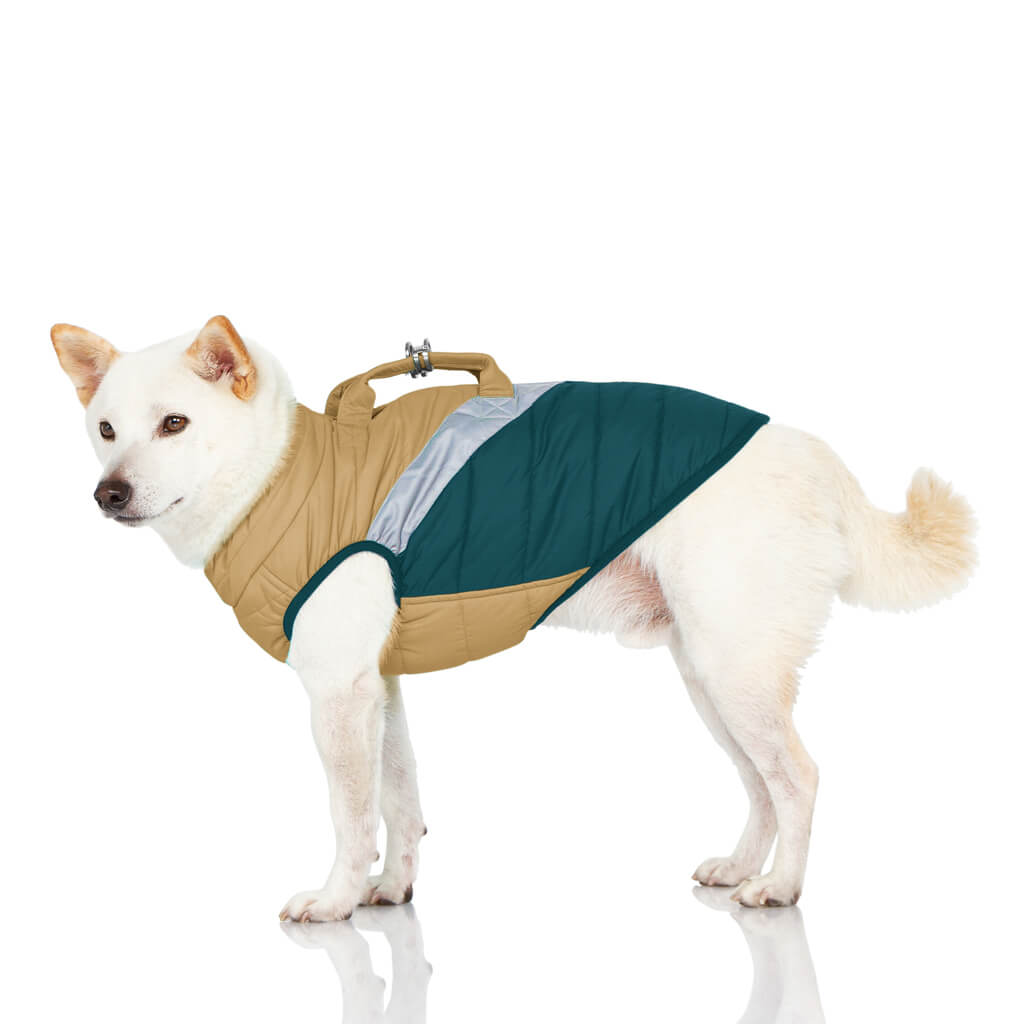 Mountaineer Jacket