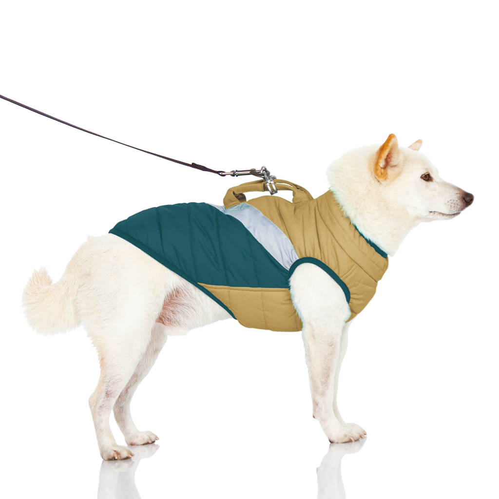 Mountaineer Jacket