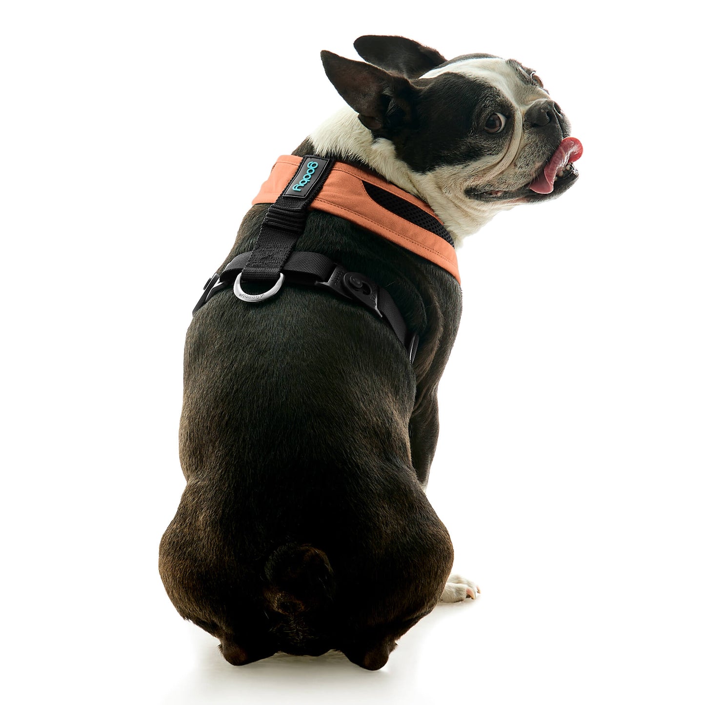 Escape Free Comfort X One Harness