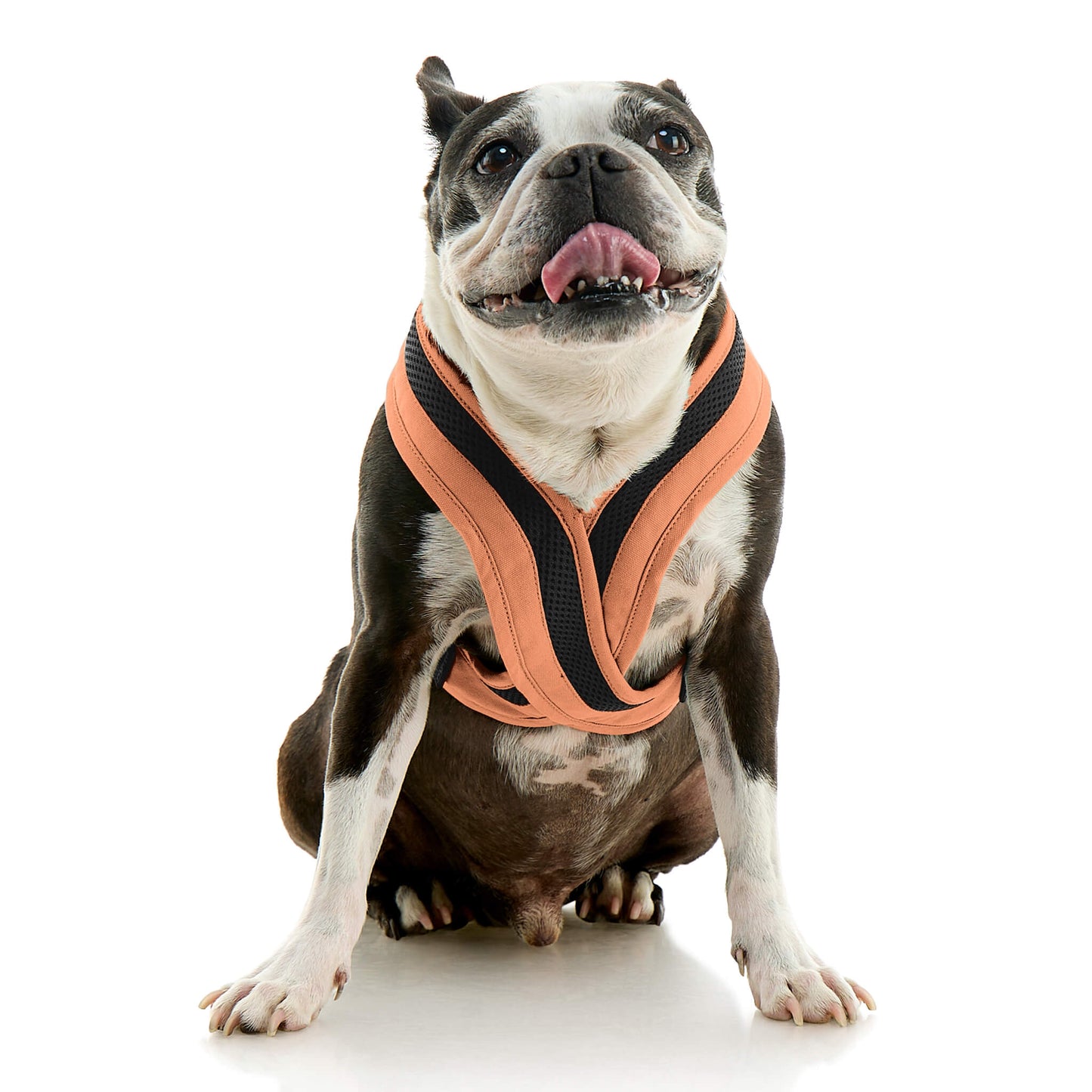 Escape Free Comfort X One Harness