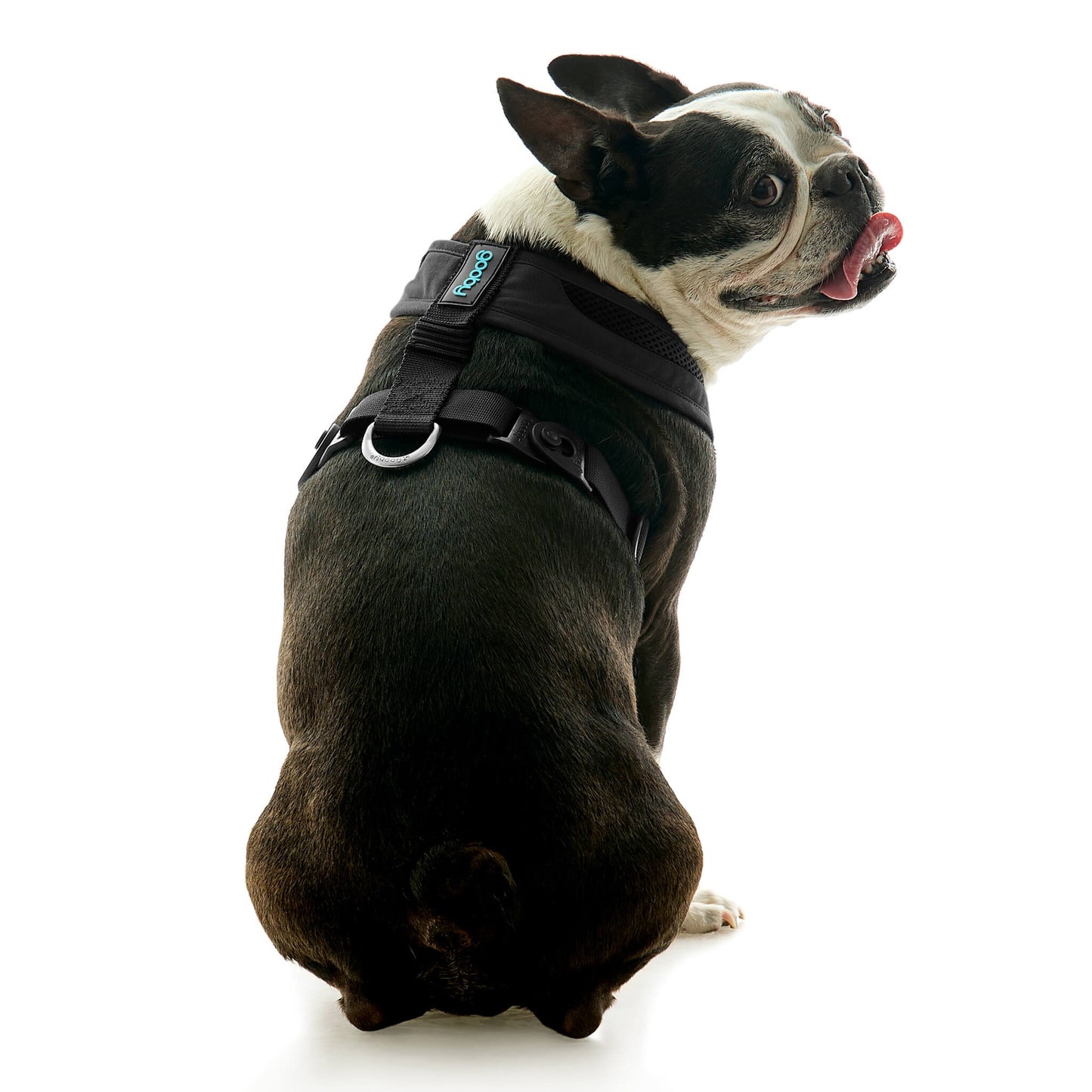 Escape Free Comfort X One Harness