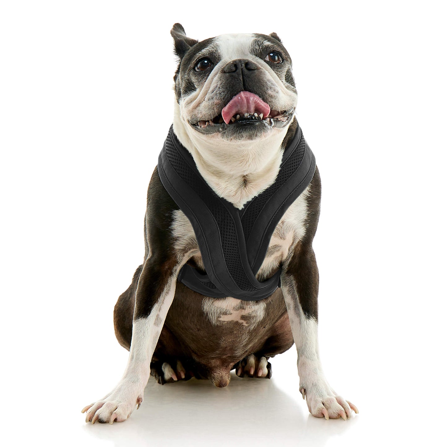 Escape Free Comfort X One Harness