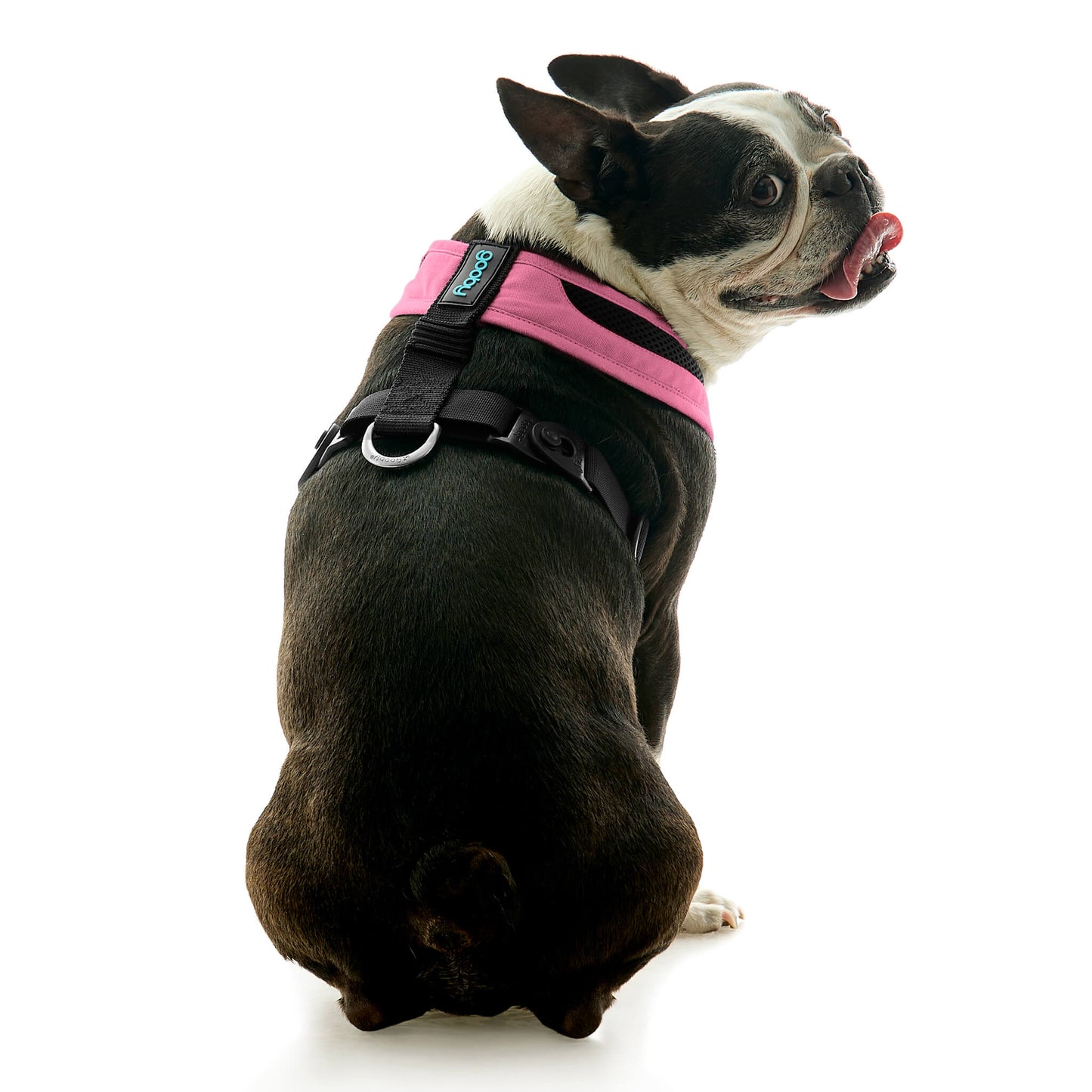 Escape Free Comfort X One Harness