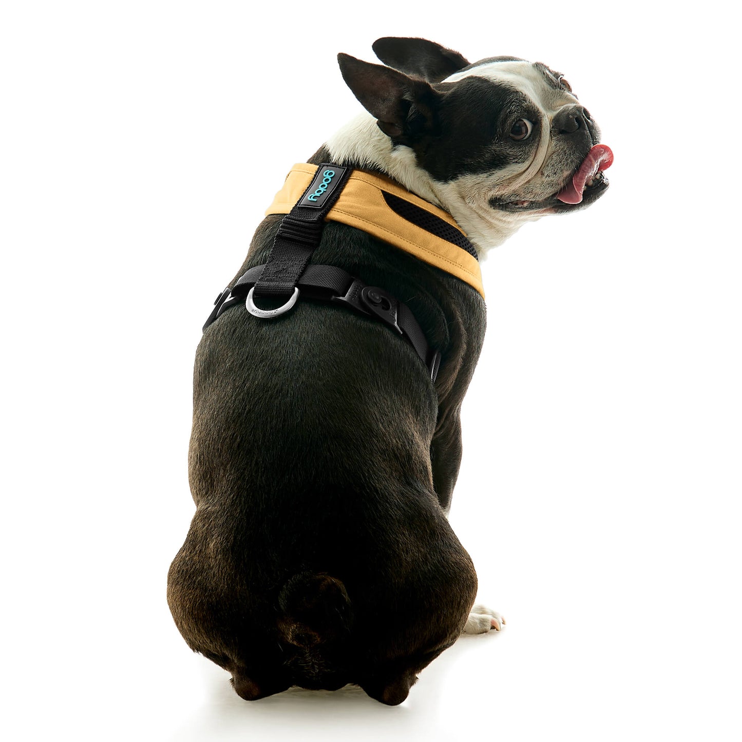 Escape Free Comfort X One Harness