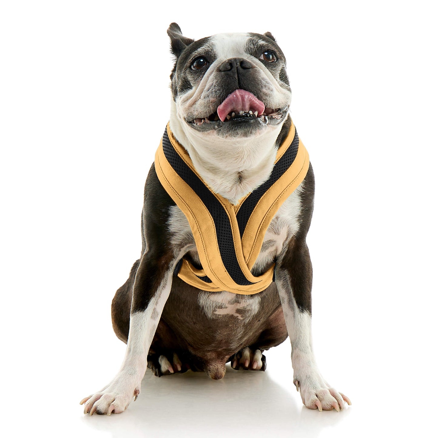 Escape Free Comfort X One Harness