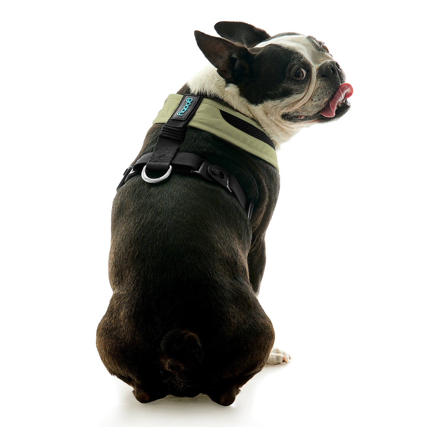 Escape Free Comfort X One Harness