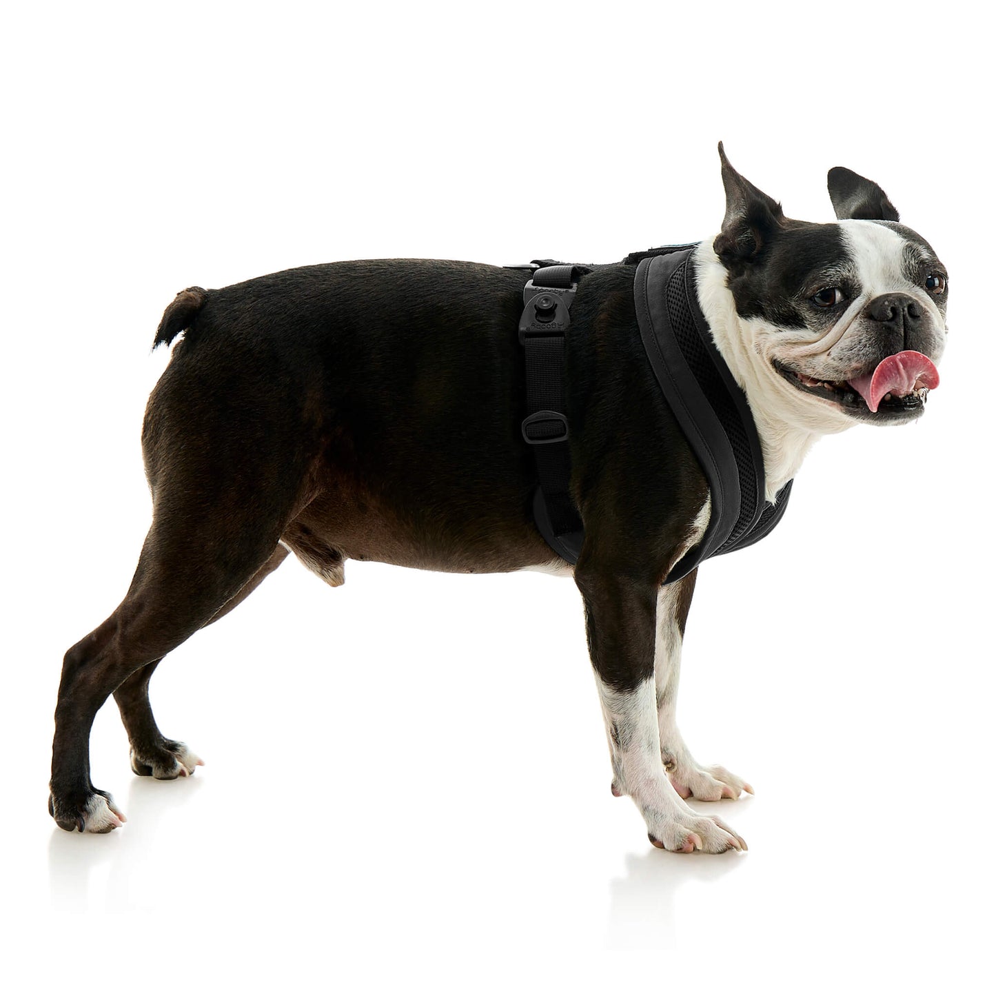 Escape Free Comfort X One Harness