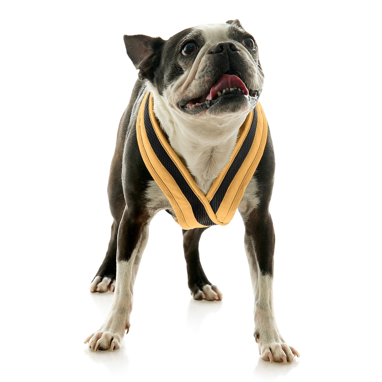 Escape Free Comfort X One Harness