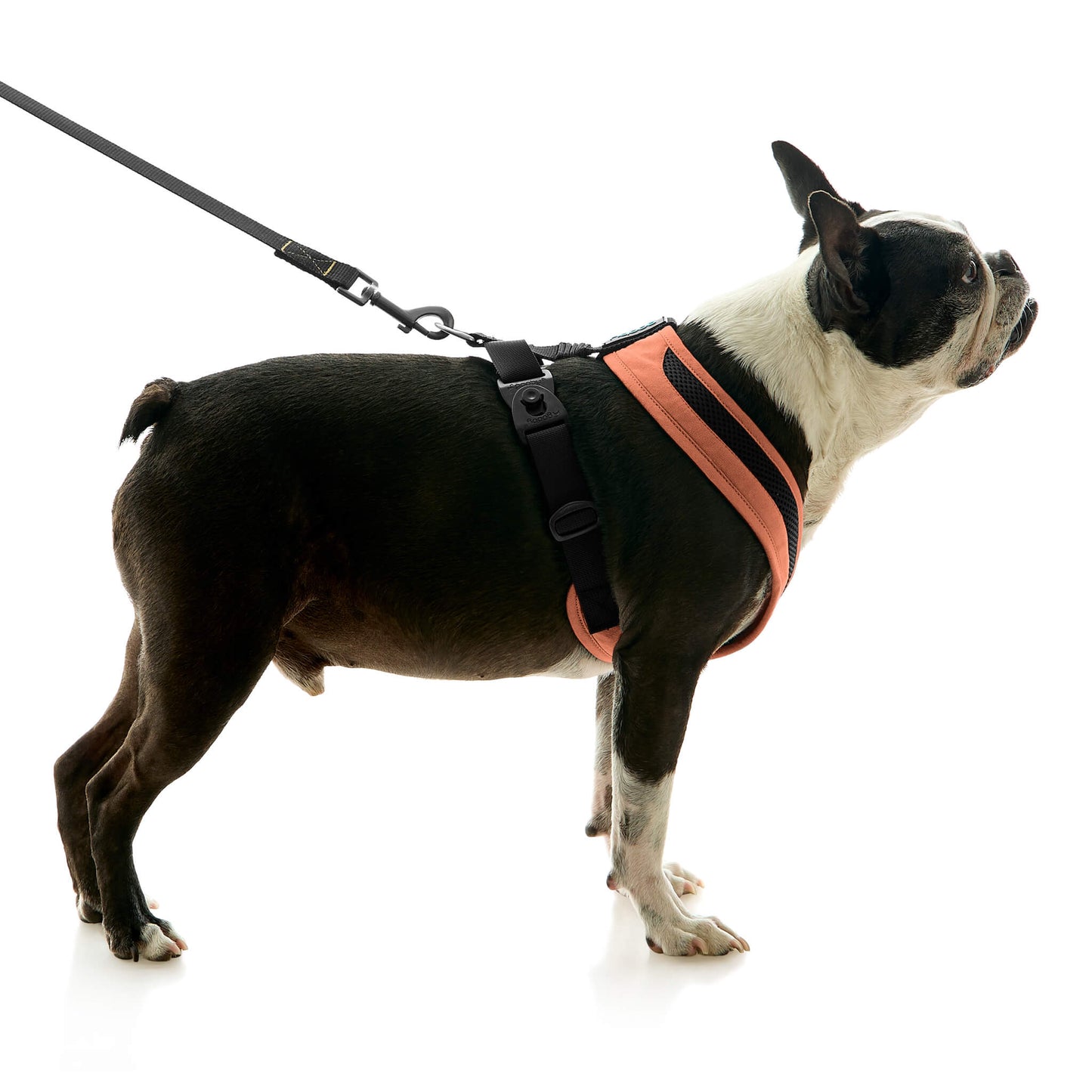 Escape Free Comfort X One Harness